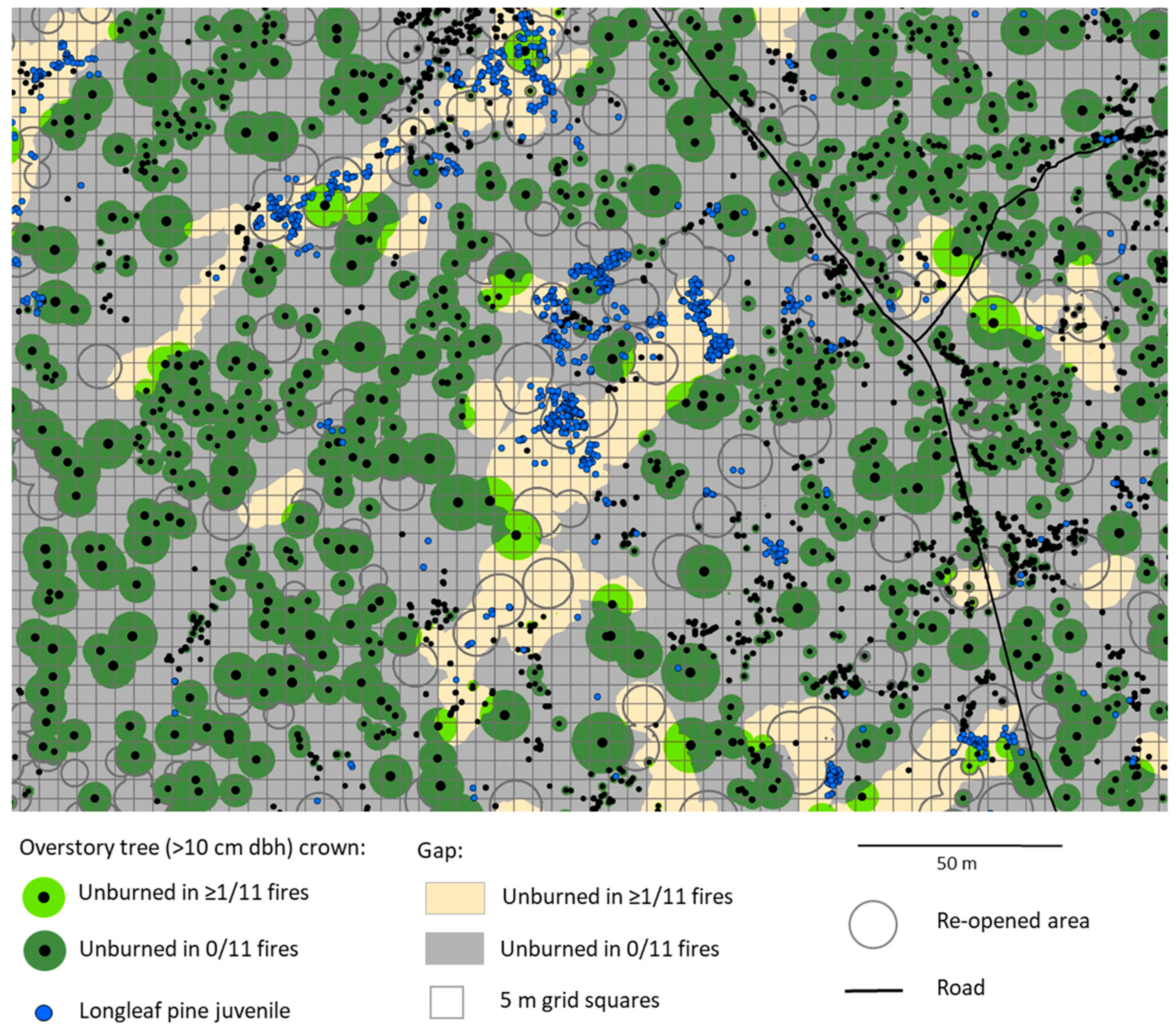 Forests 10 00367 g002
