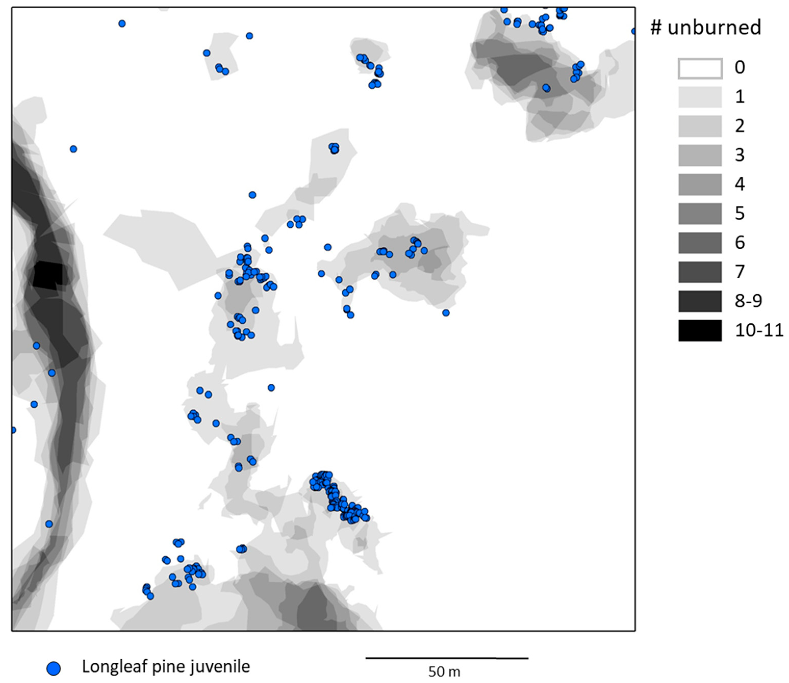 Forests 10 00367 g004
