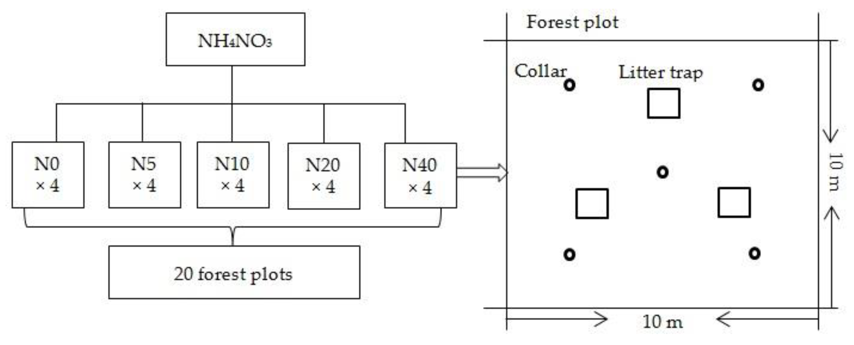 Forests 10 00369 g001