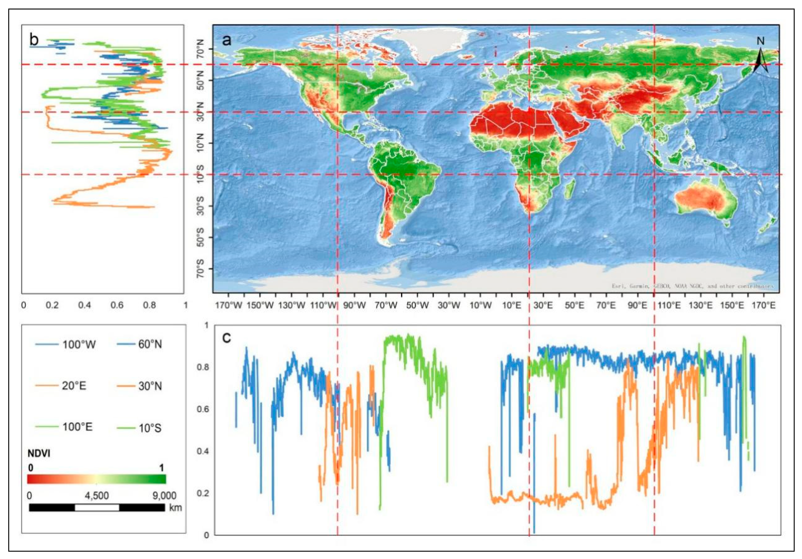 Forests 10 00372 g001