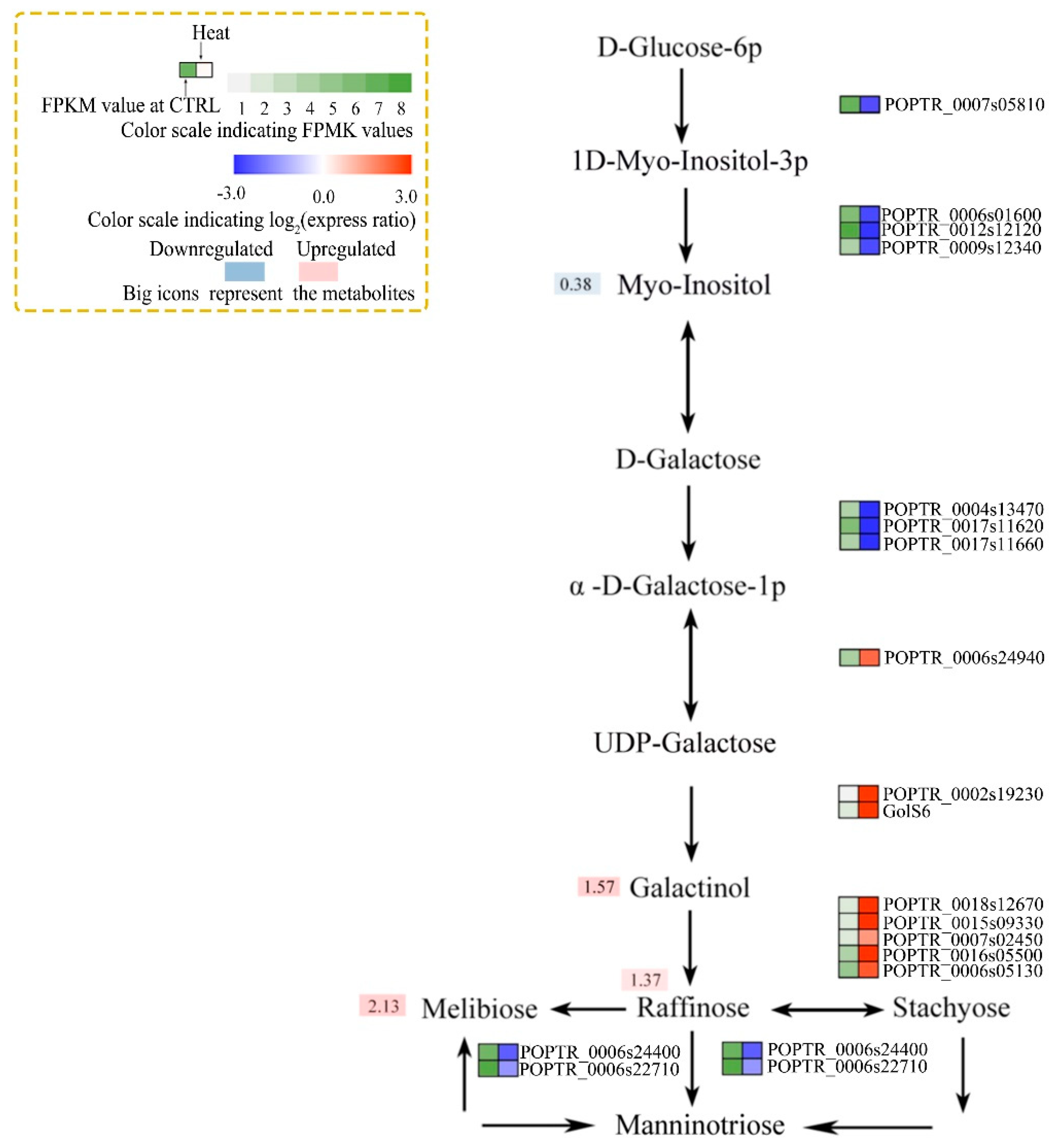 Forests 10 00383 g006