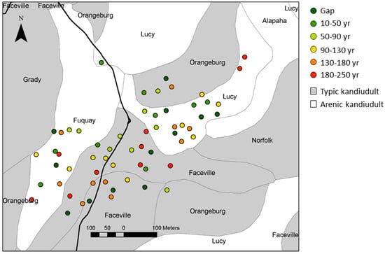Forests 10 00389 g0a1 550