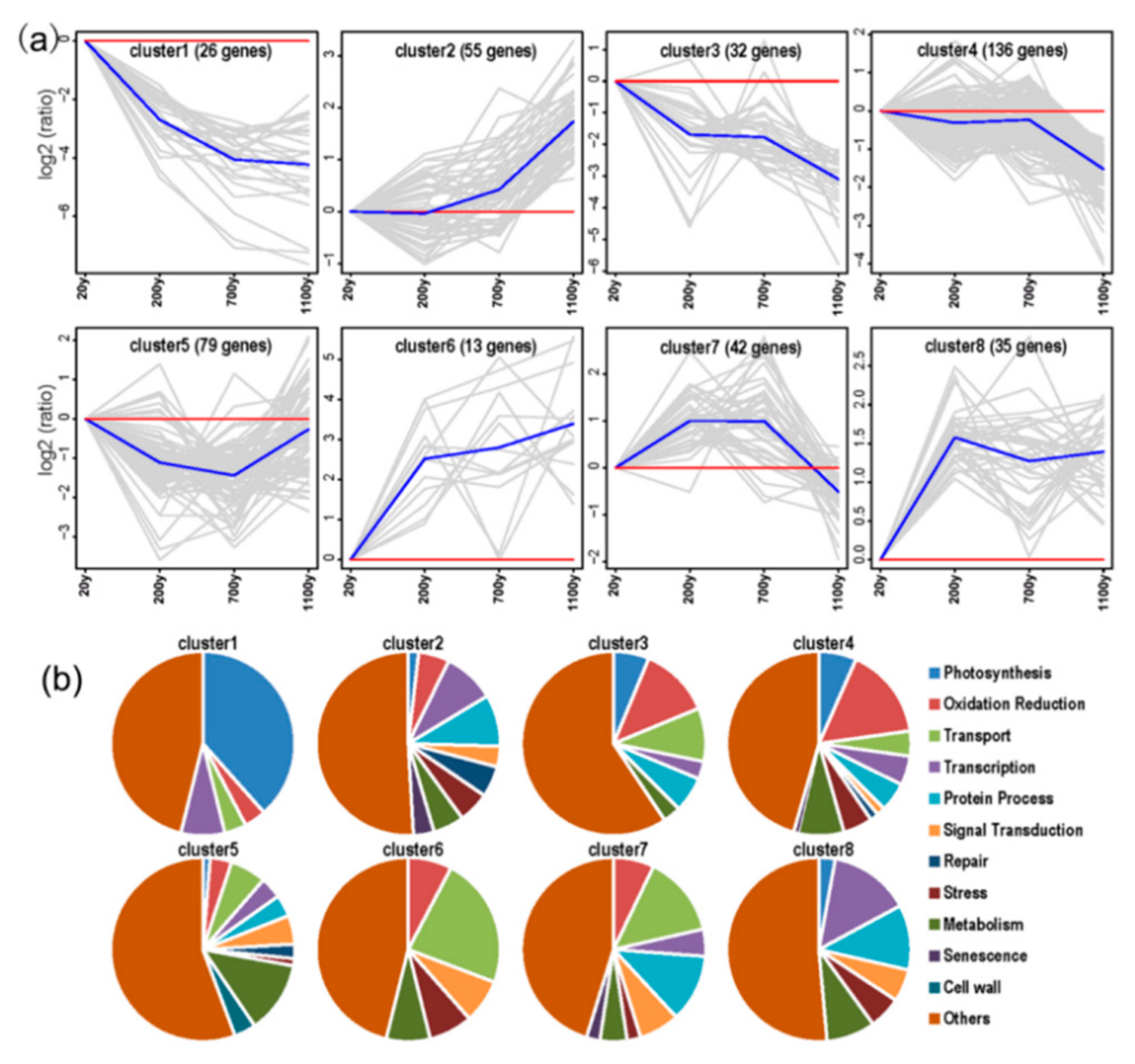 Forests 10 00393 g007