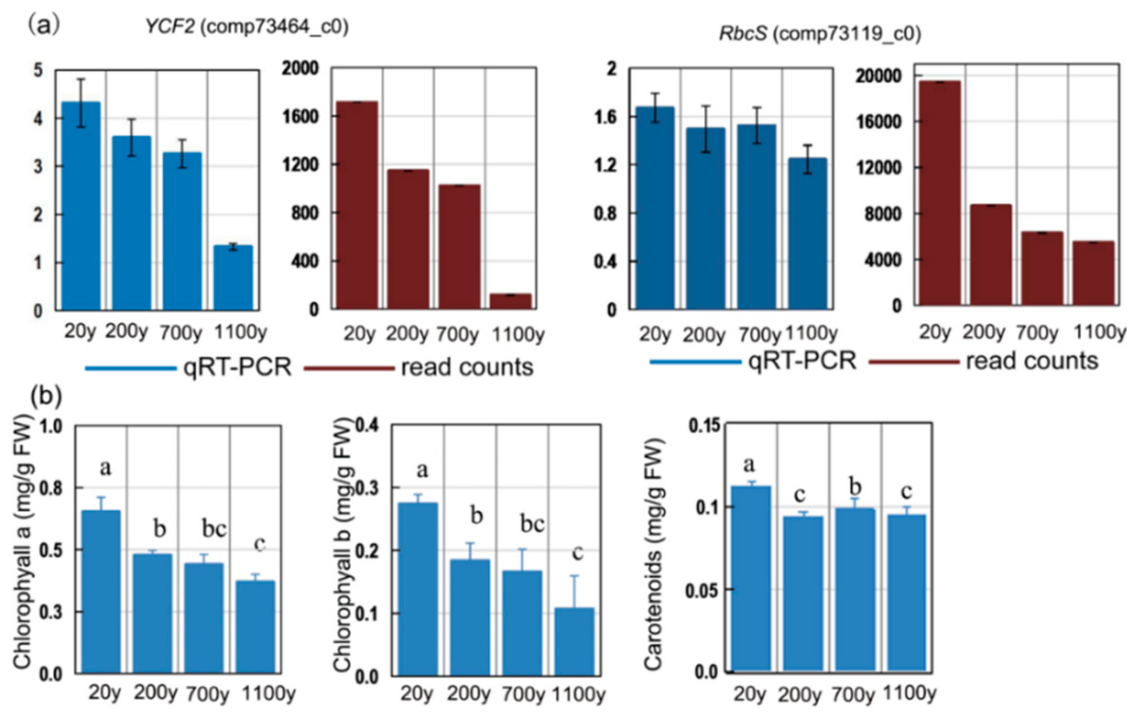 Forests 10 00393 g010