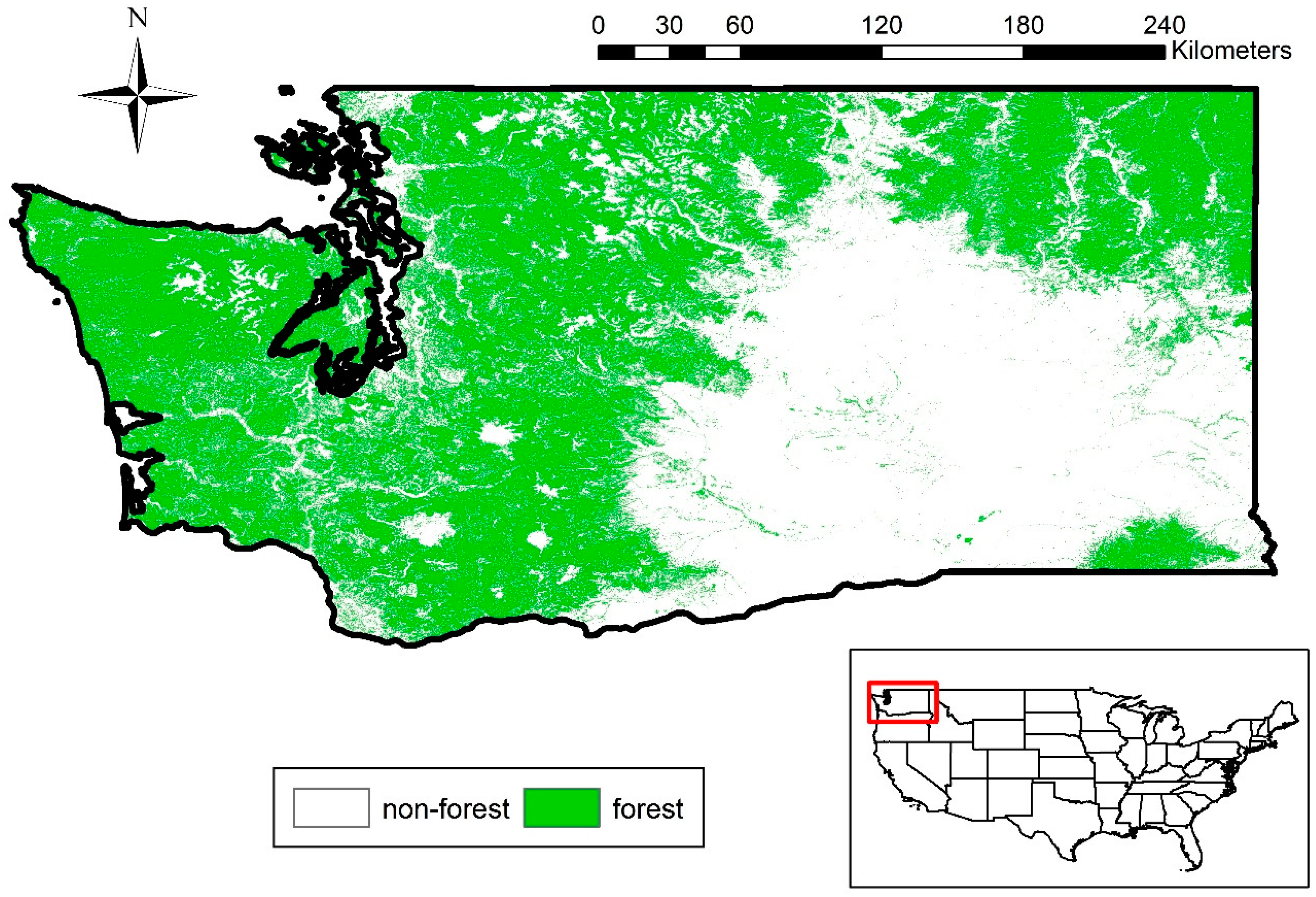 Forests 10 00397 g001