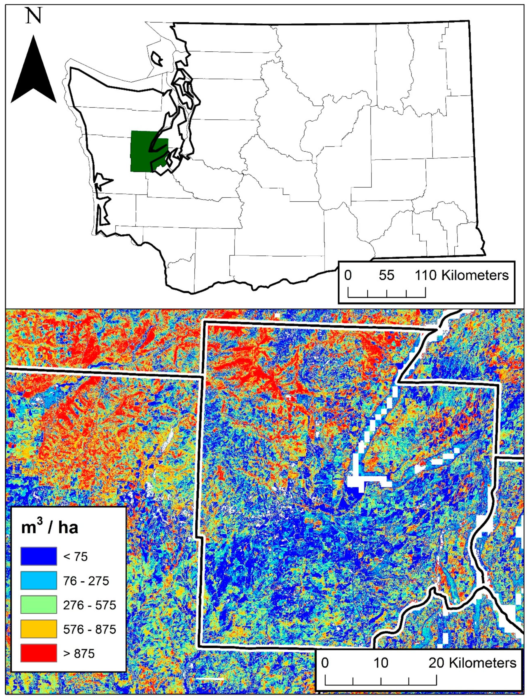 Forests 10 00397 g008