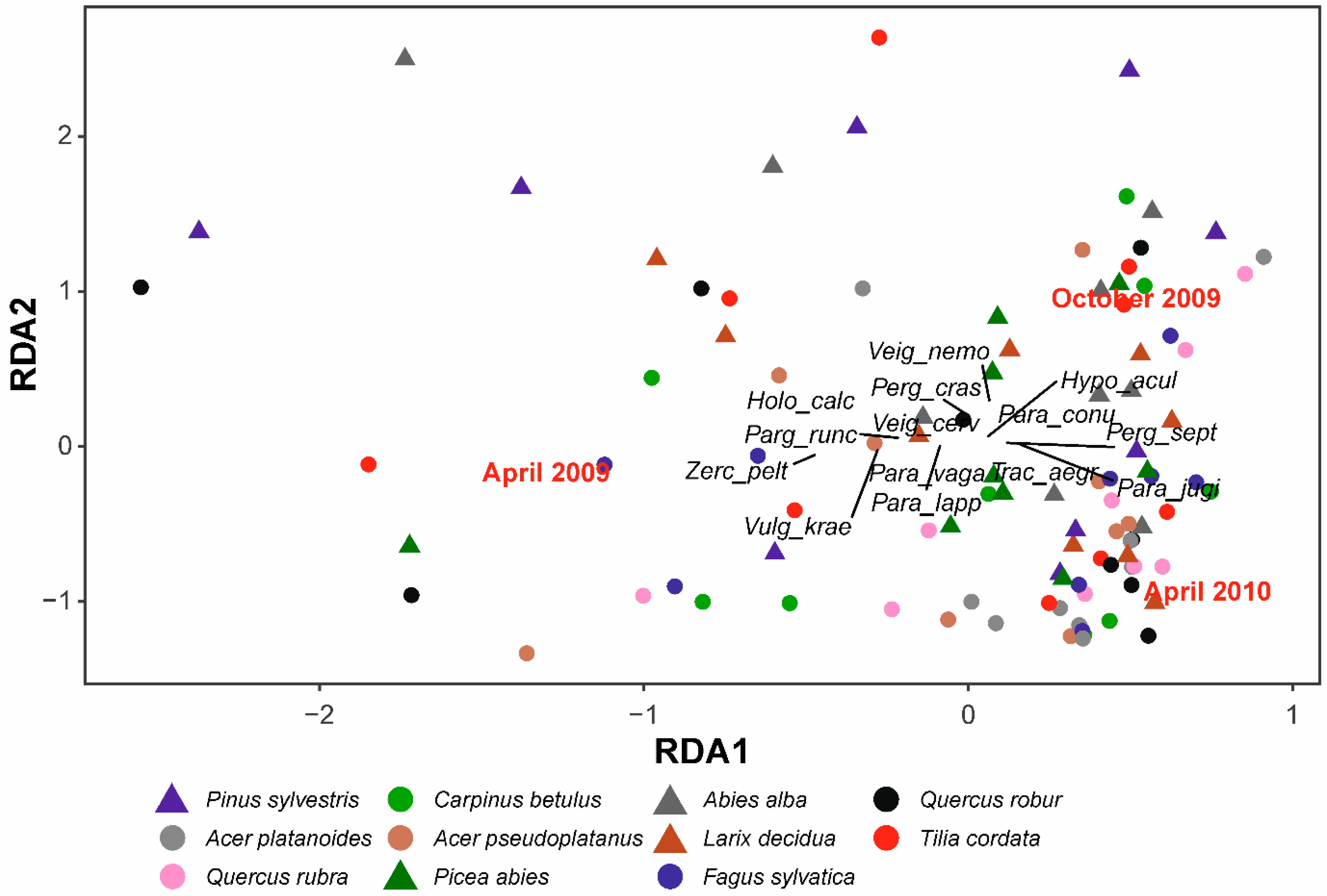 Forests 10 00403 g002 Forests 10 00403 g002