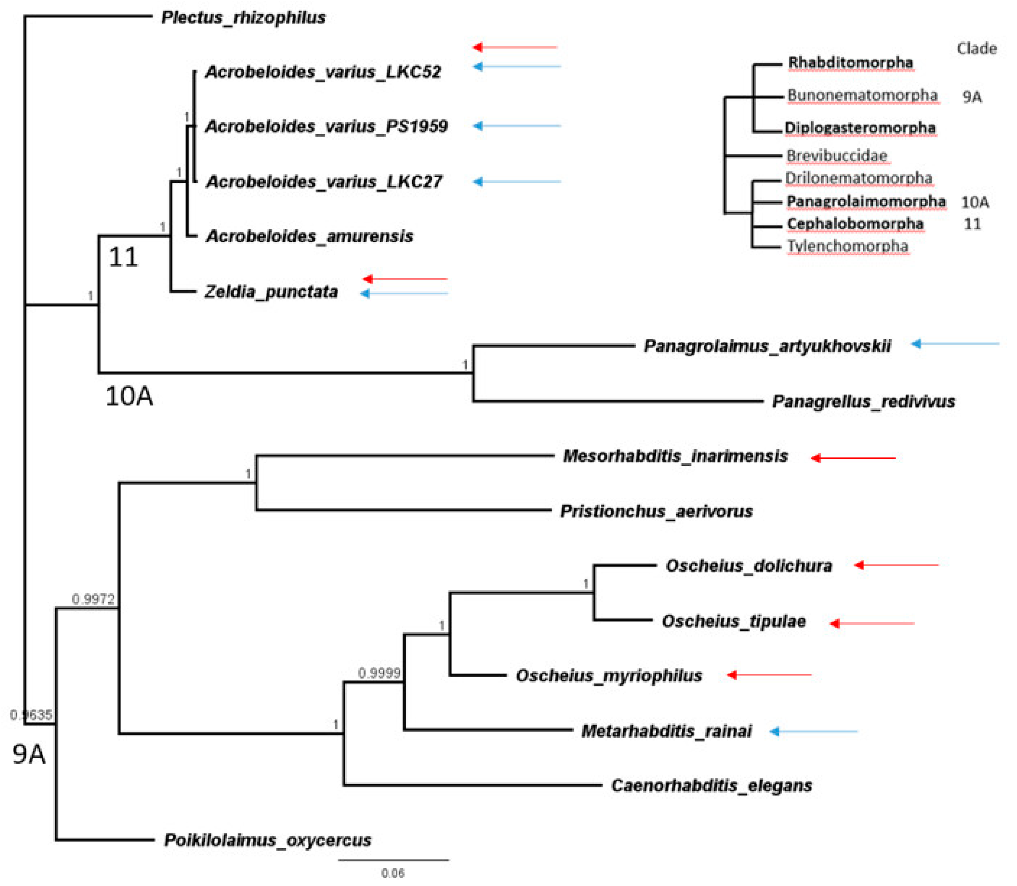 Forests 10 00404 g001 Forests 10 00404 g001