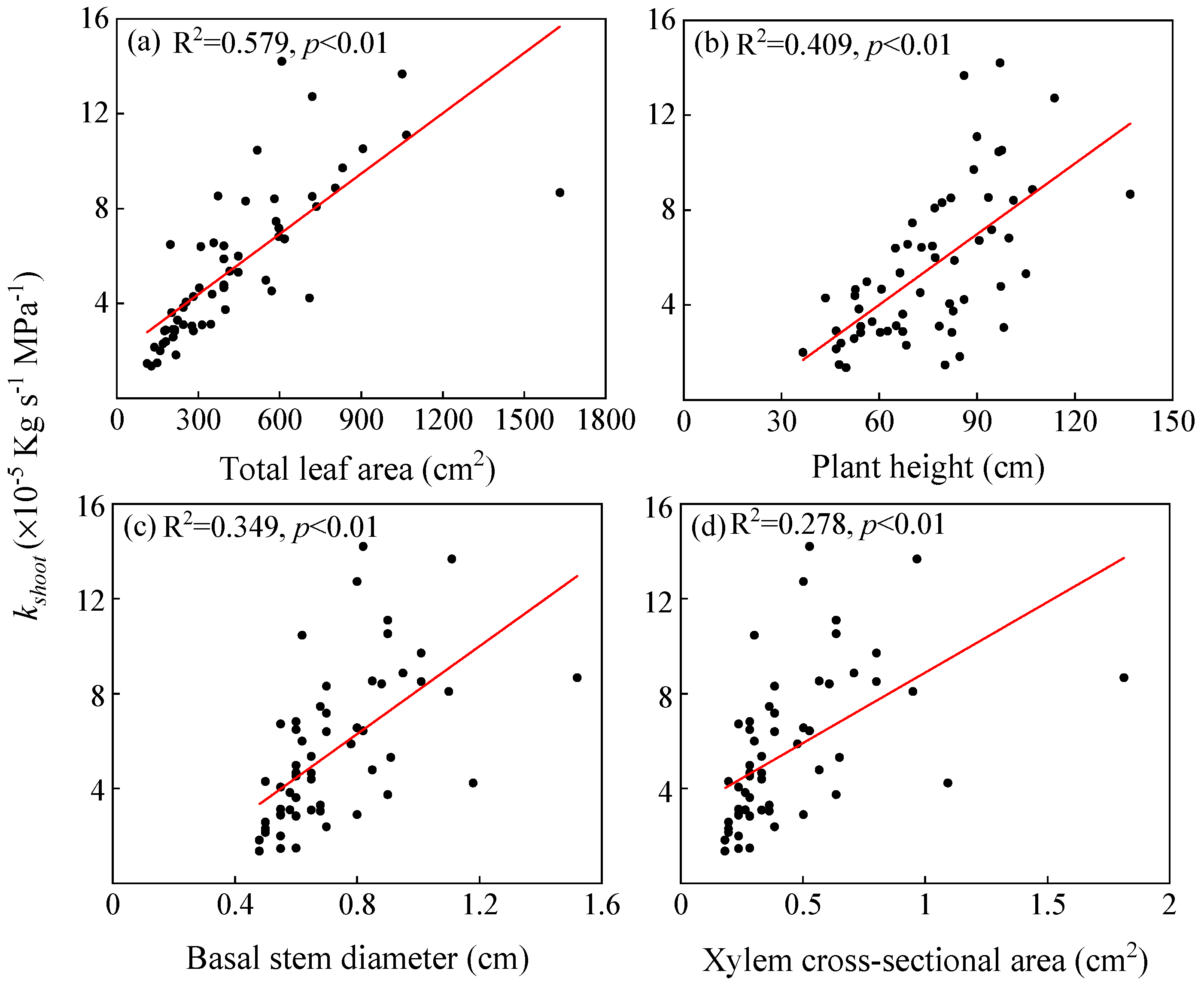 Forests 10 00407 g001