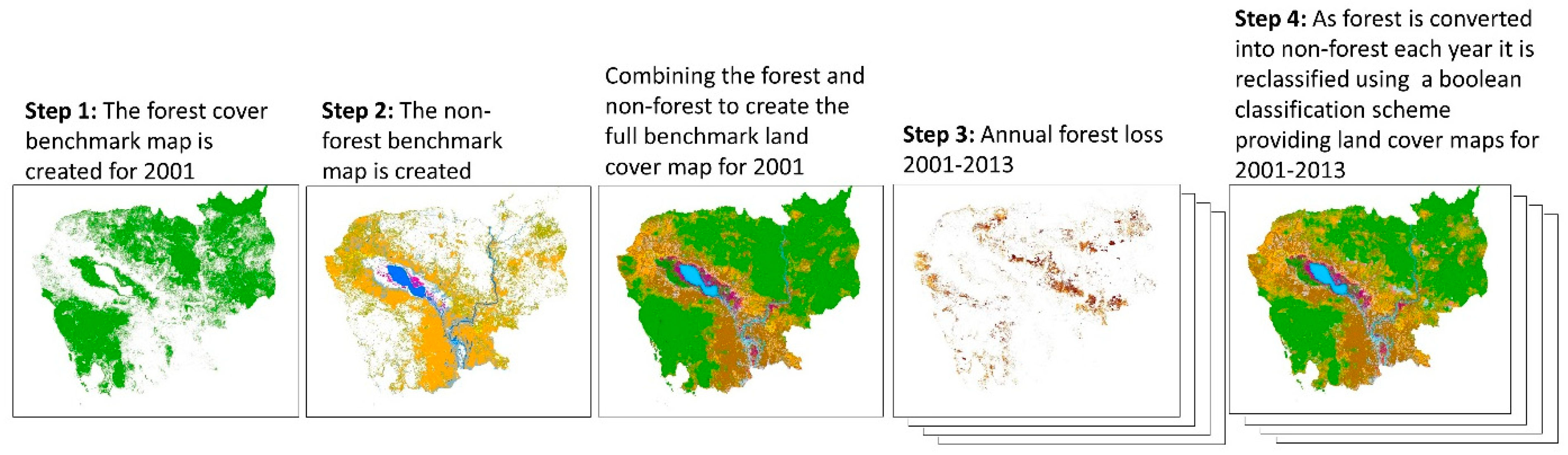 Forests 10 00413 g001