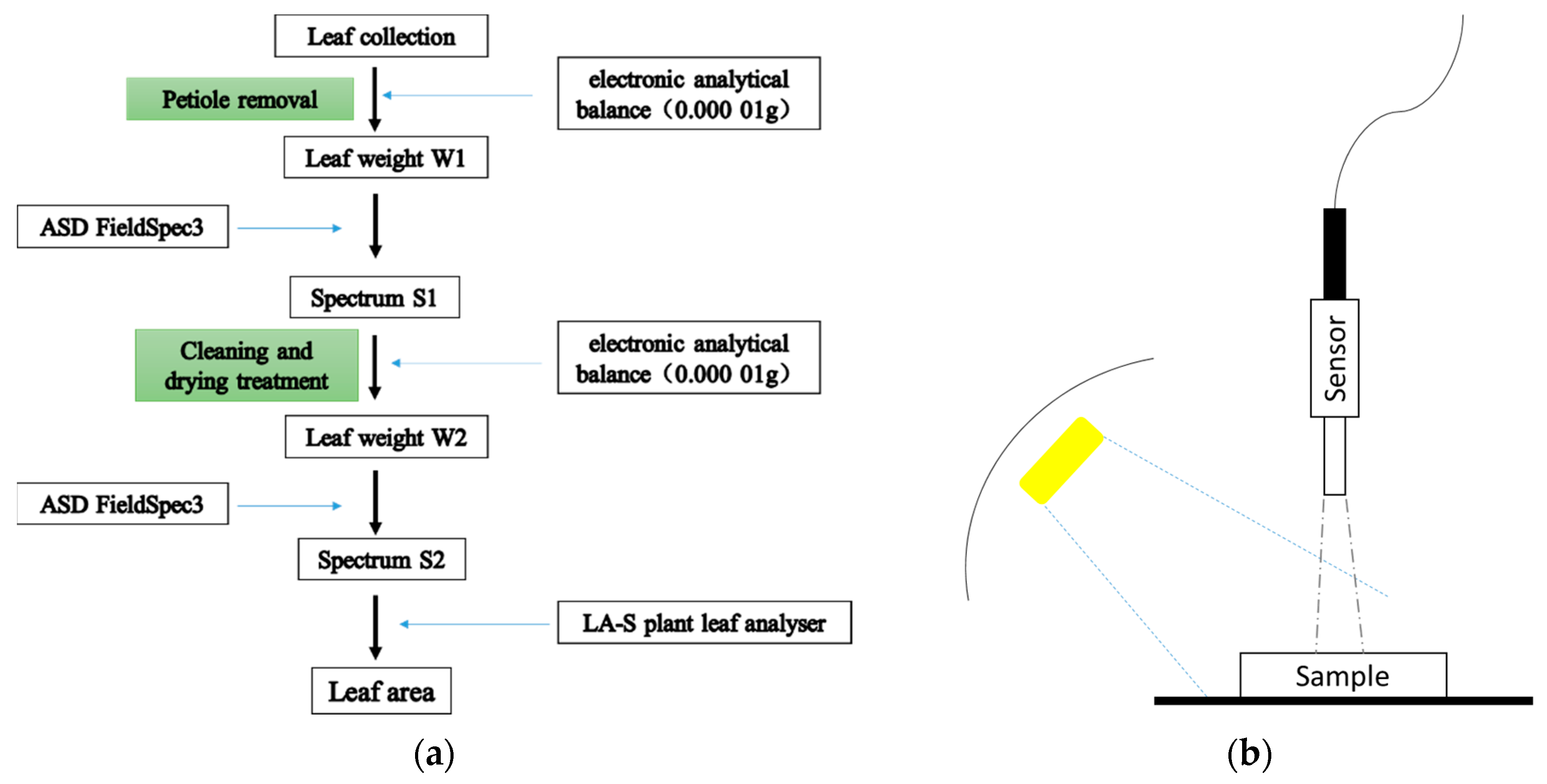 Forests 10 00418 g003 Forests 10 00418 g003