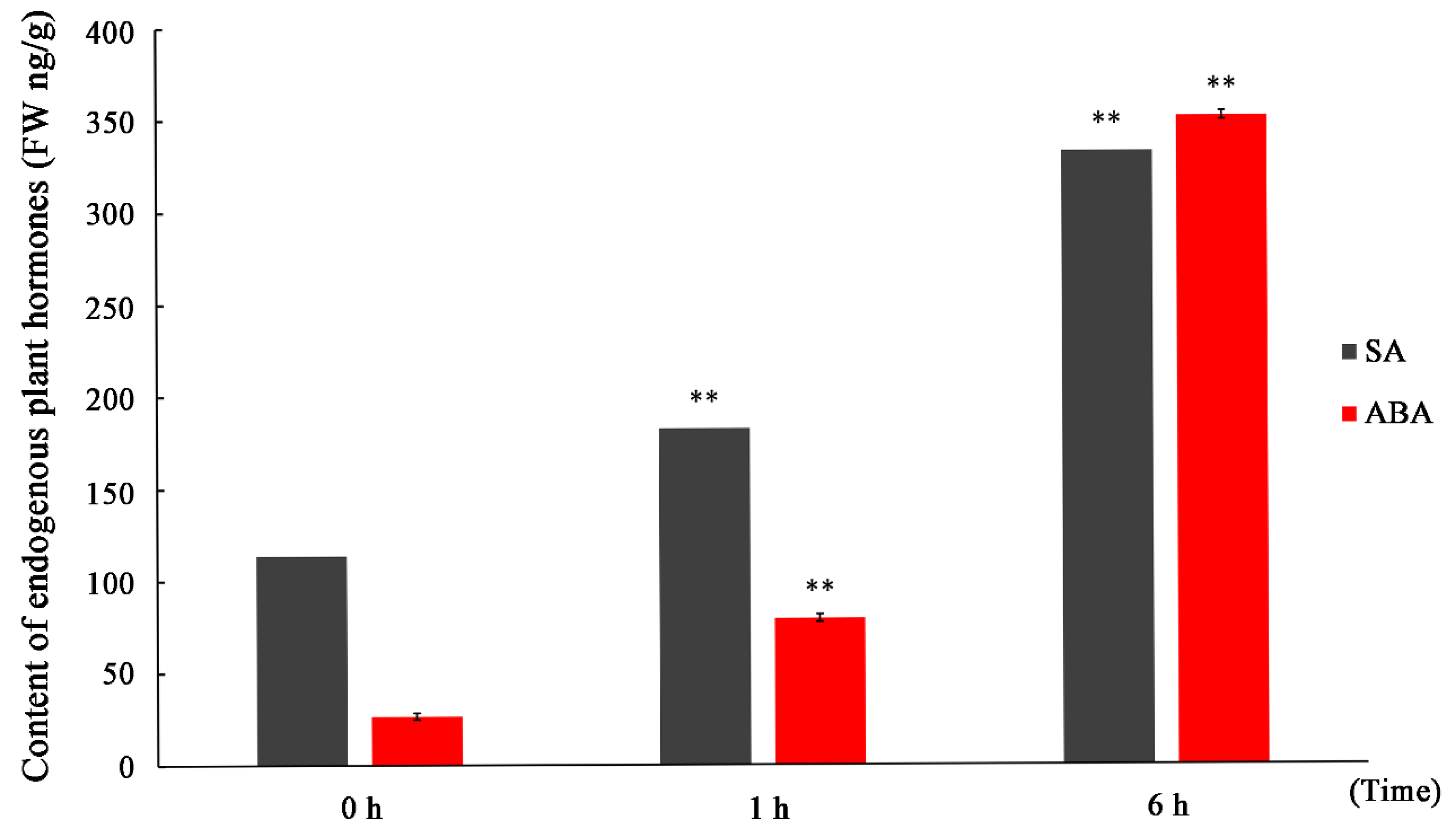 Forests 10 00423 g001