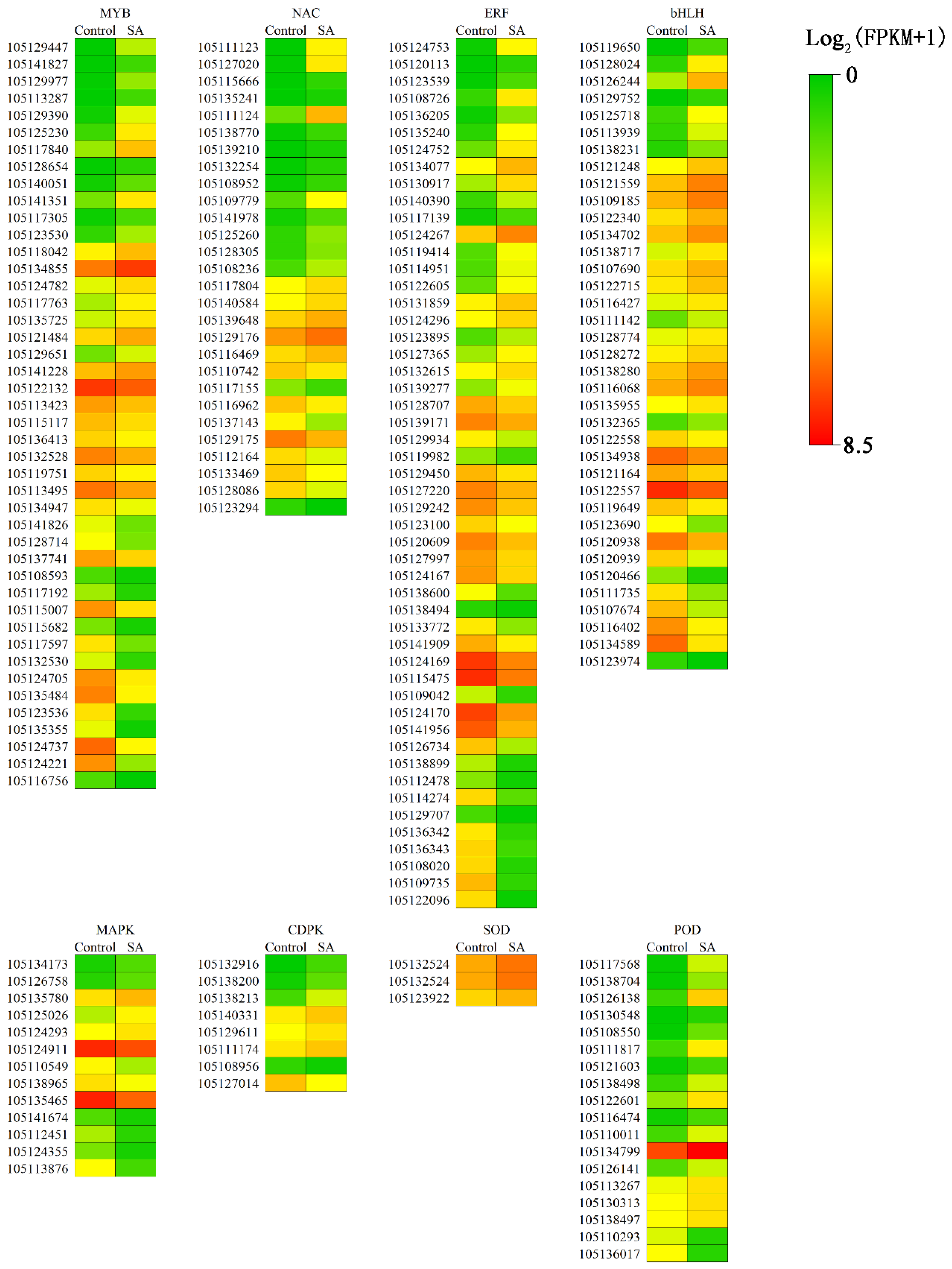 Forests 10 00423 g007
