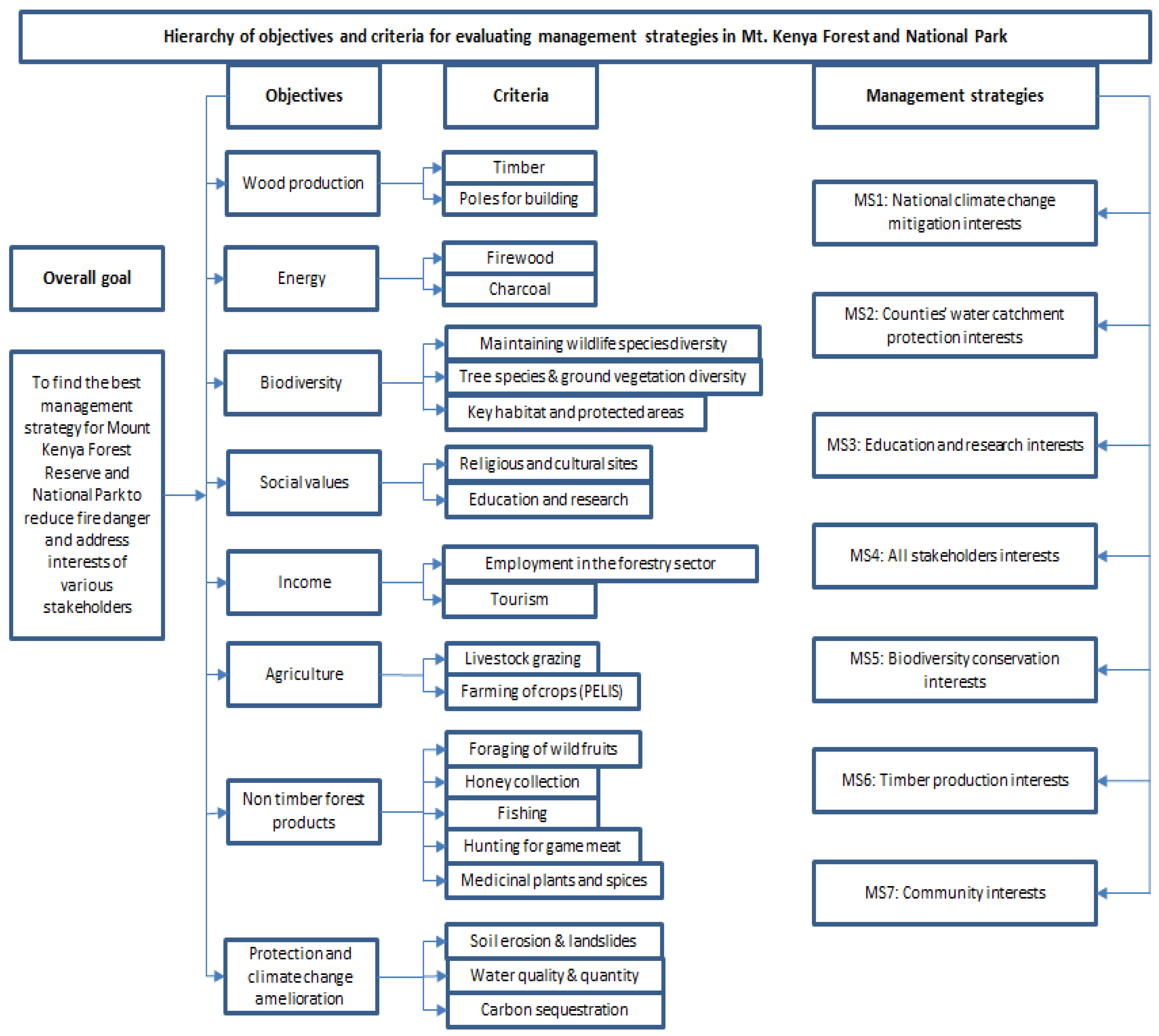 Forests 10 00426 g003