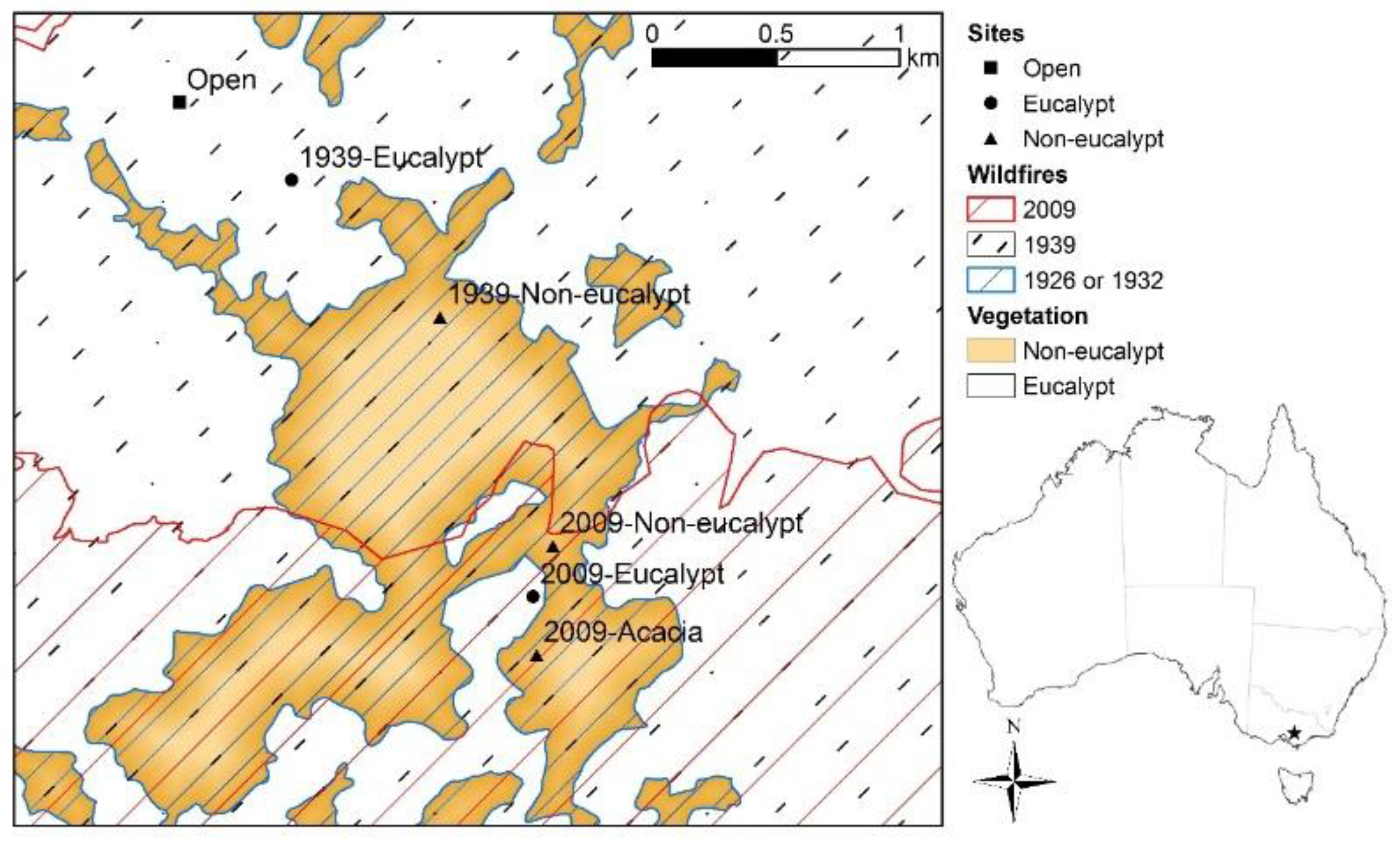 Forests 10 00436 g001