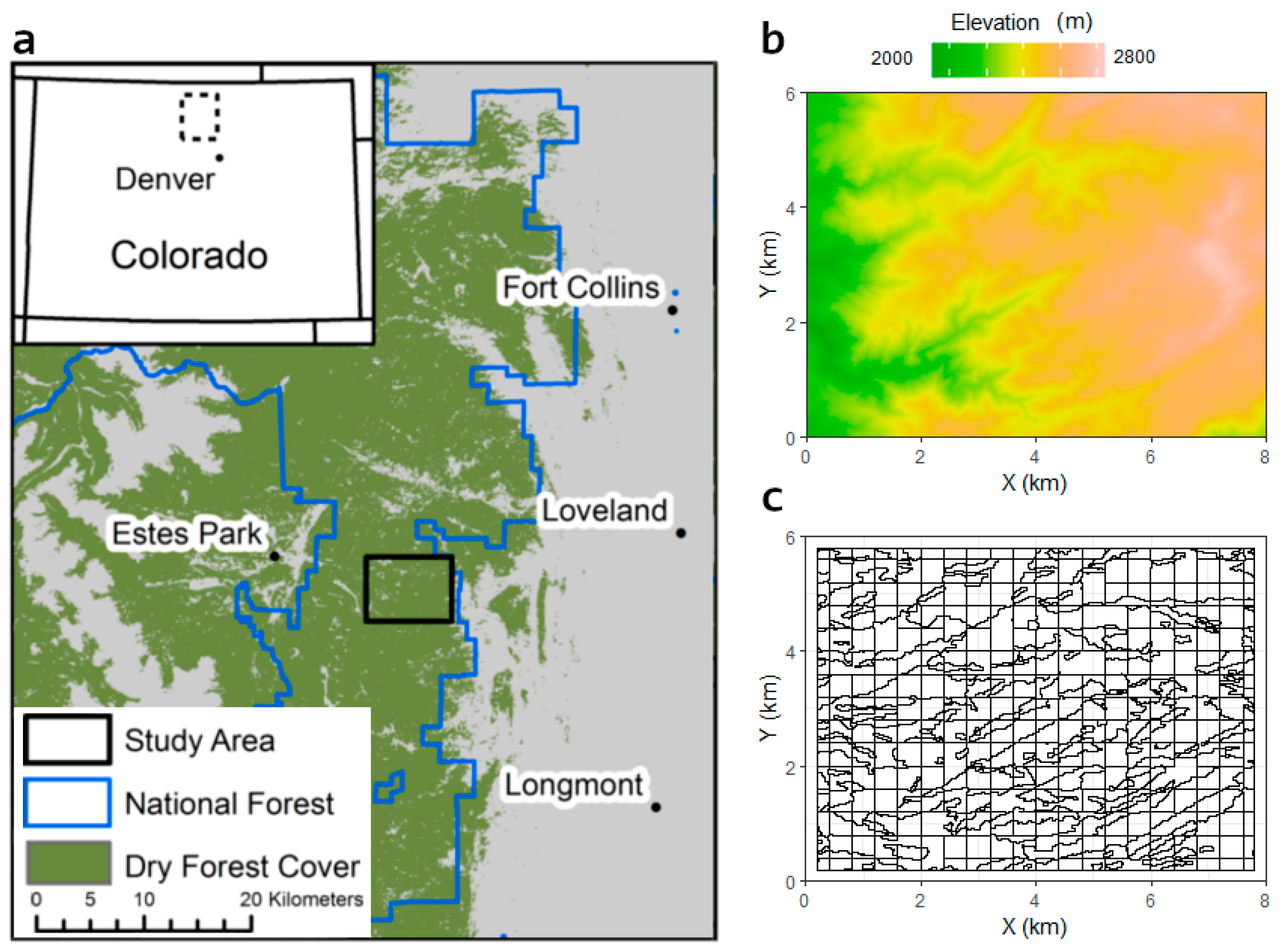 Forests 10 00438 g001