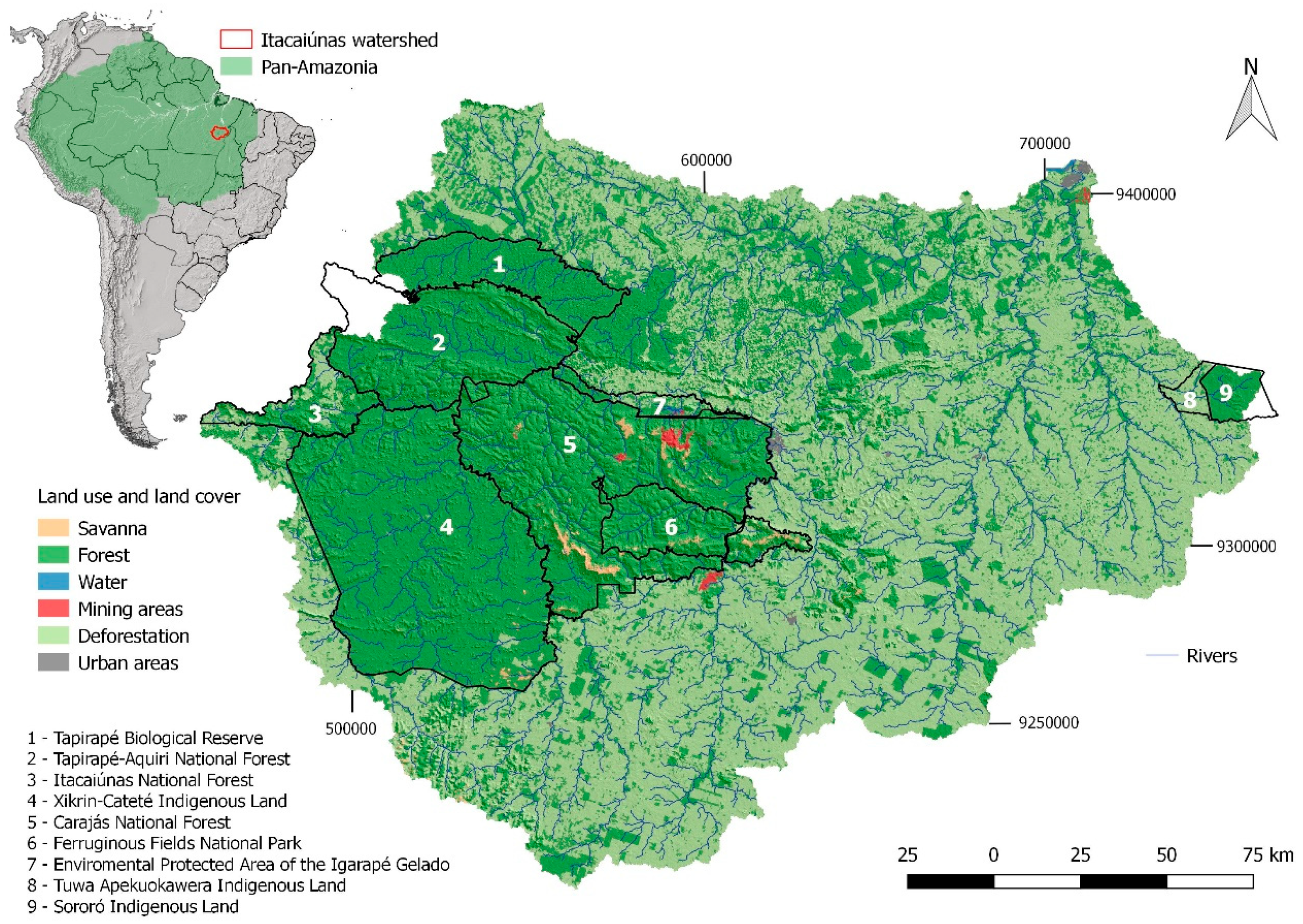Forests 10 00439 g001