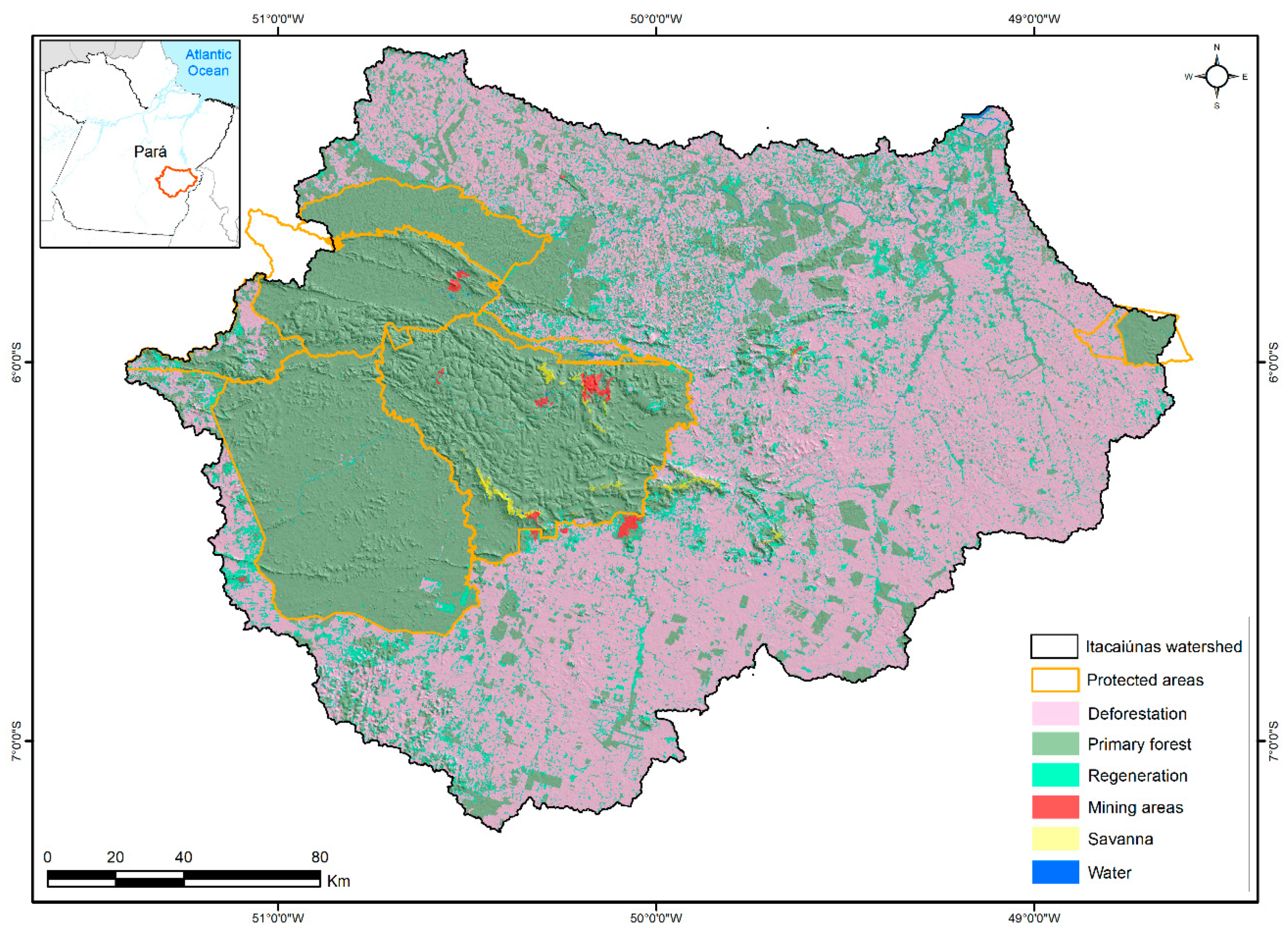 Forests 10 00439 g004