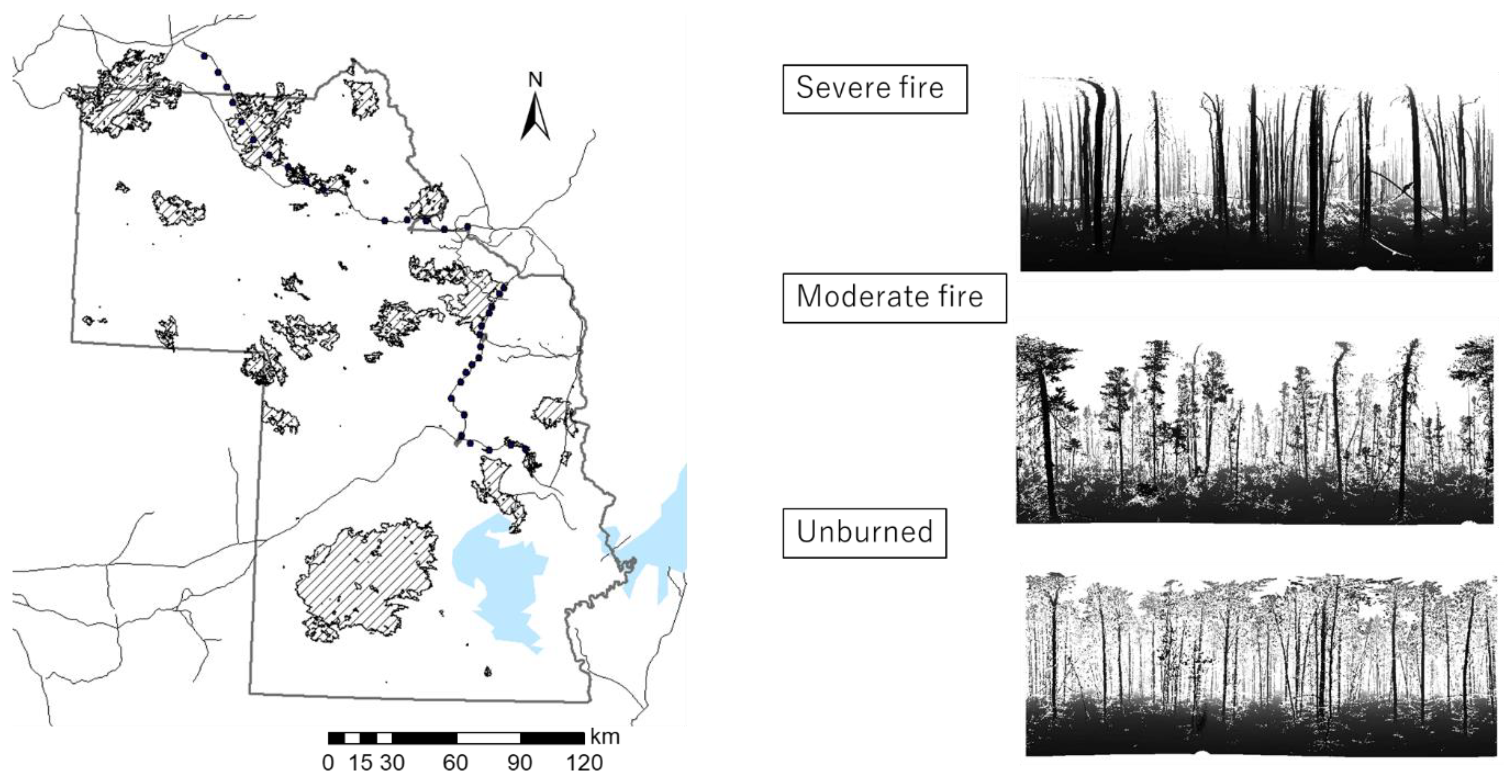 Forests 10 00444 g001 Forests 10 00444 g001