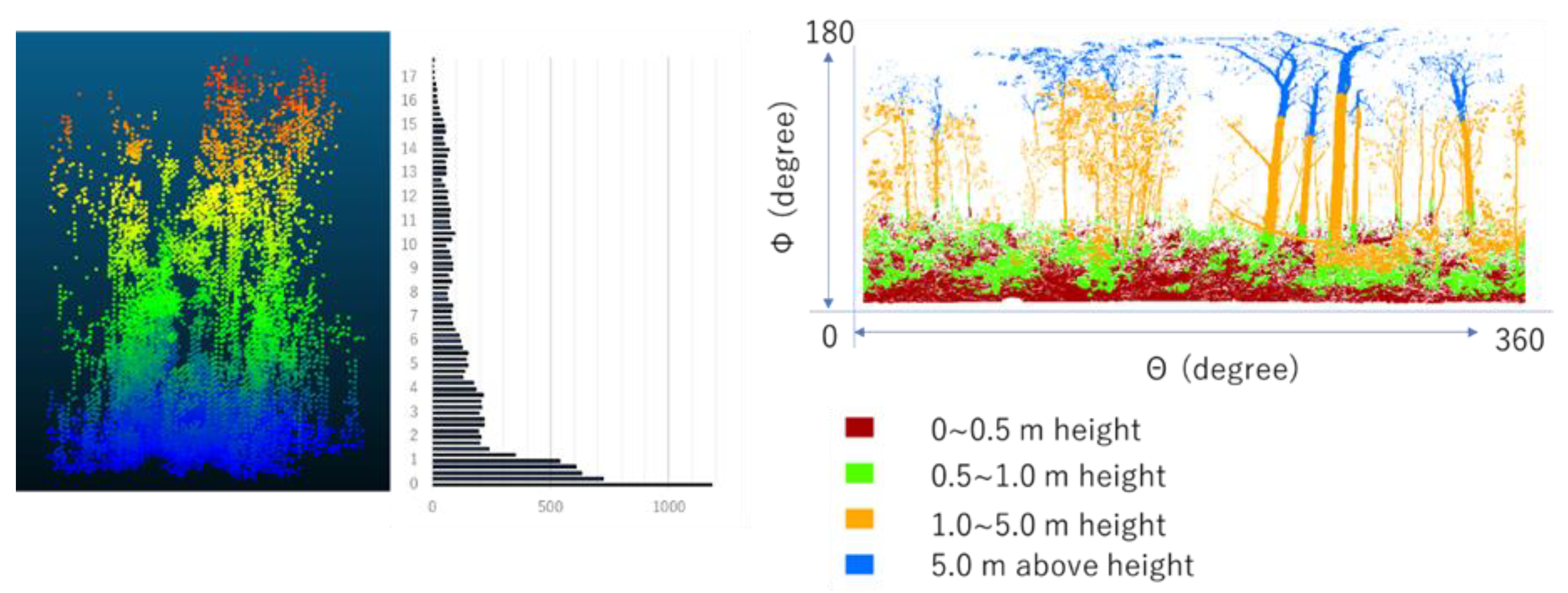 Forests 10 00444 g003 Forests 10 00444 g003