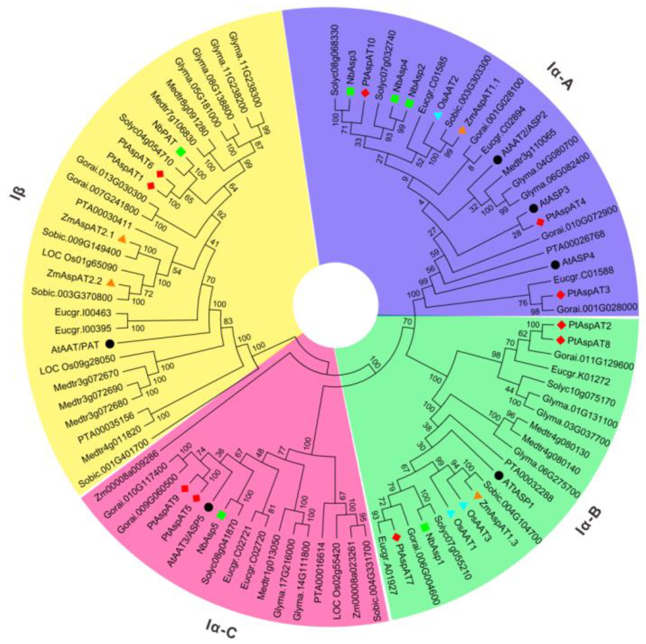 Forests 10 00449 g001