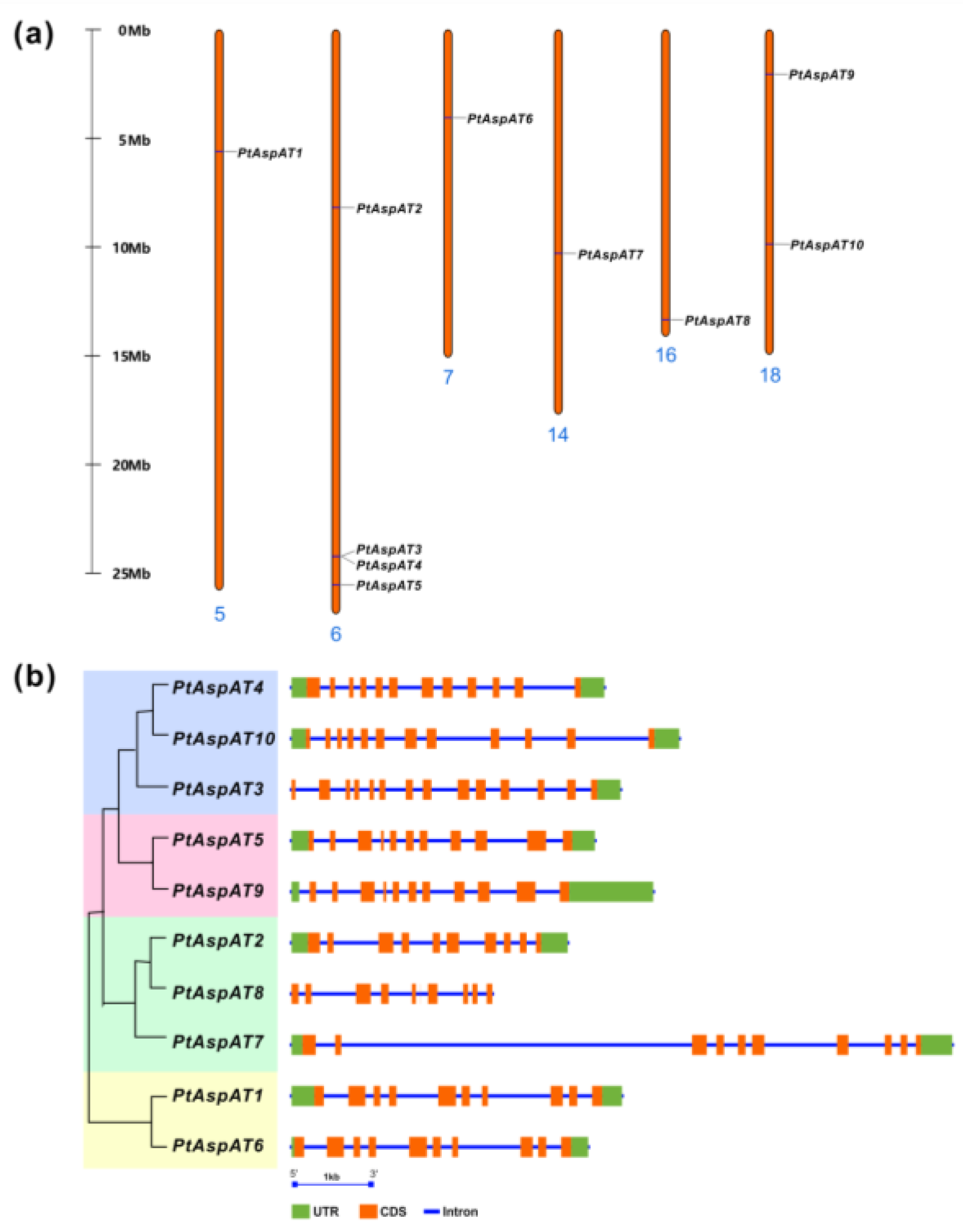 Forests 10 00449 g002