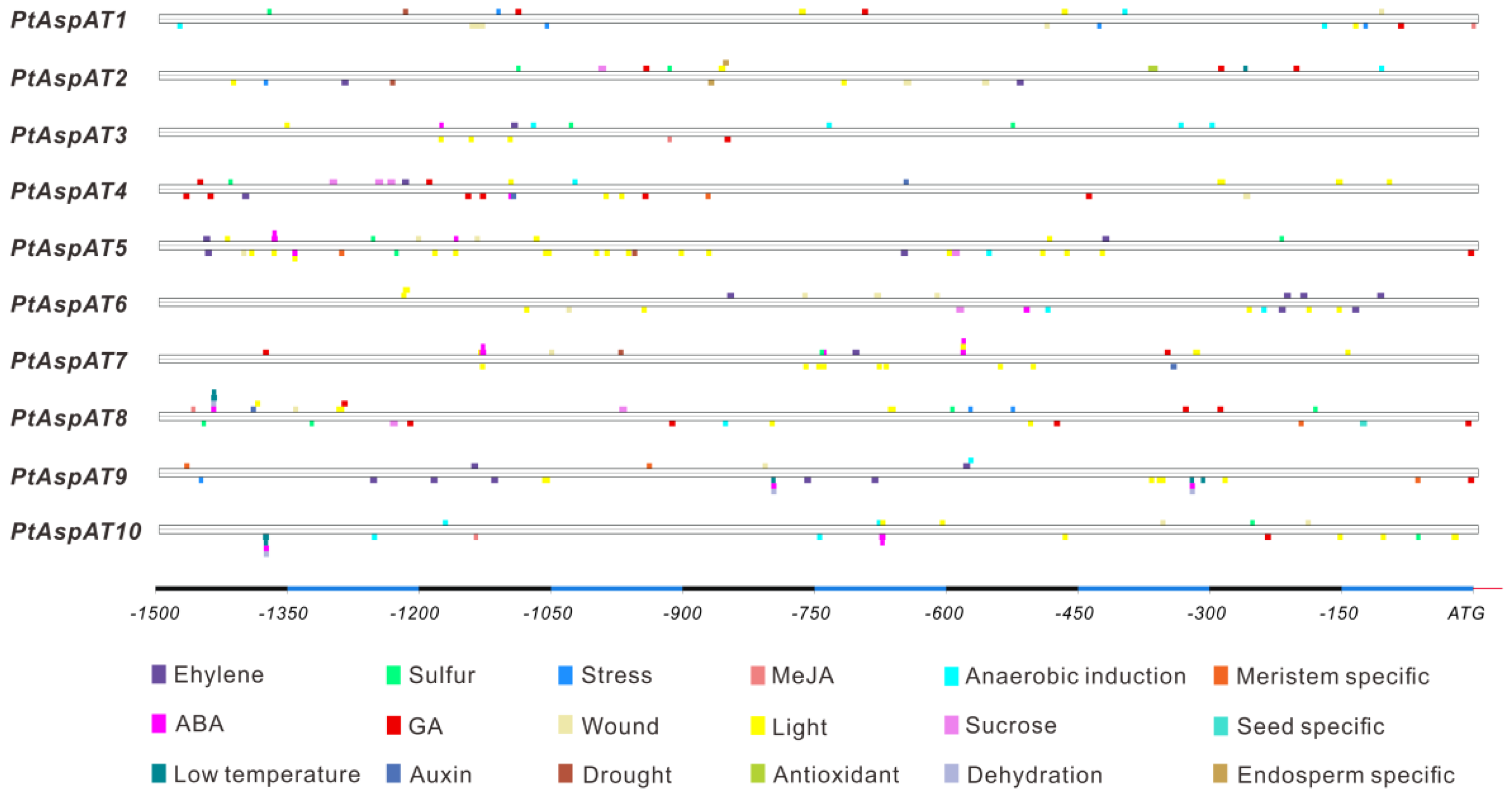 Forests 10 00449 g003