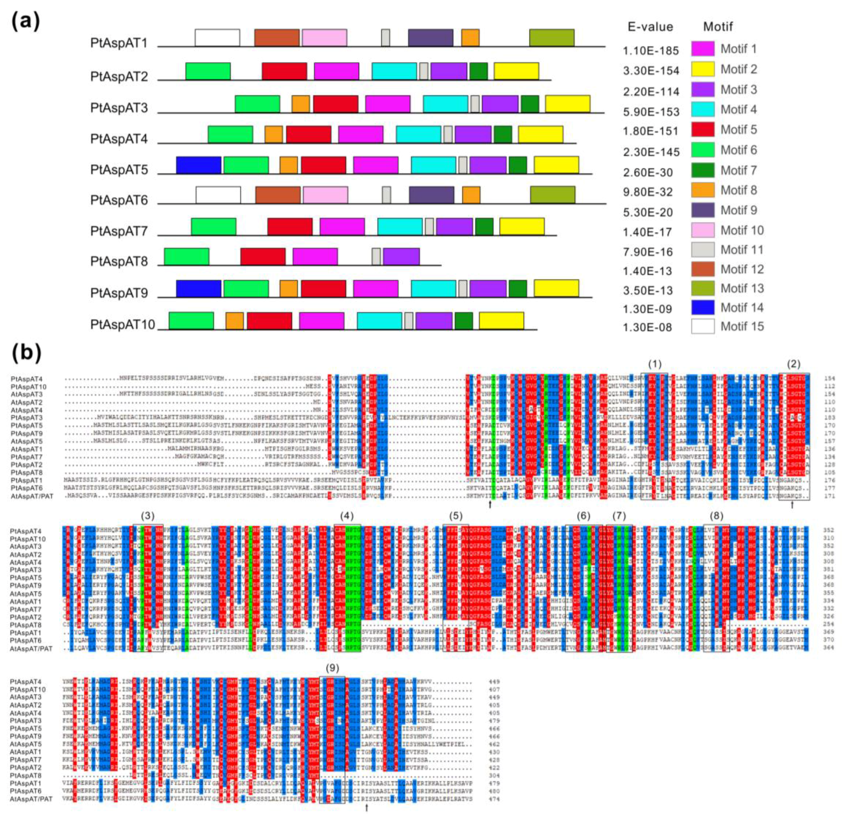 Forests 10 00449 g004