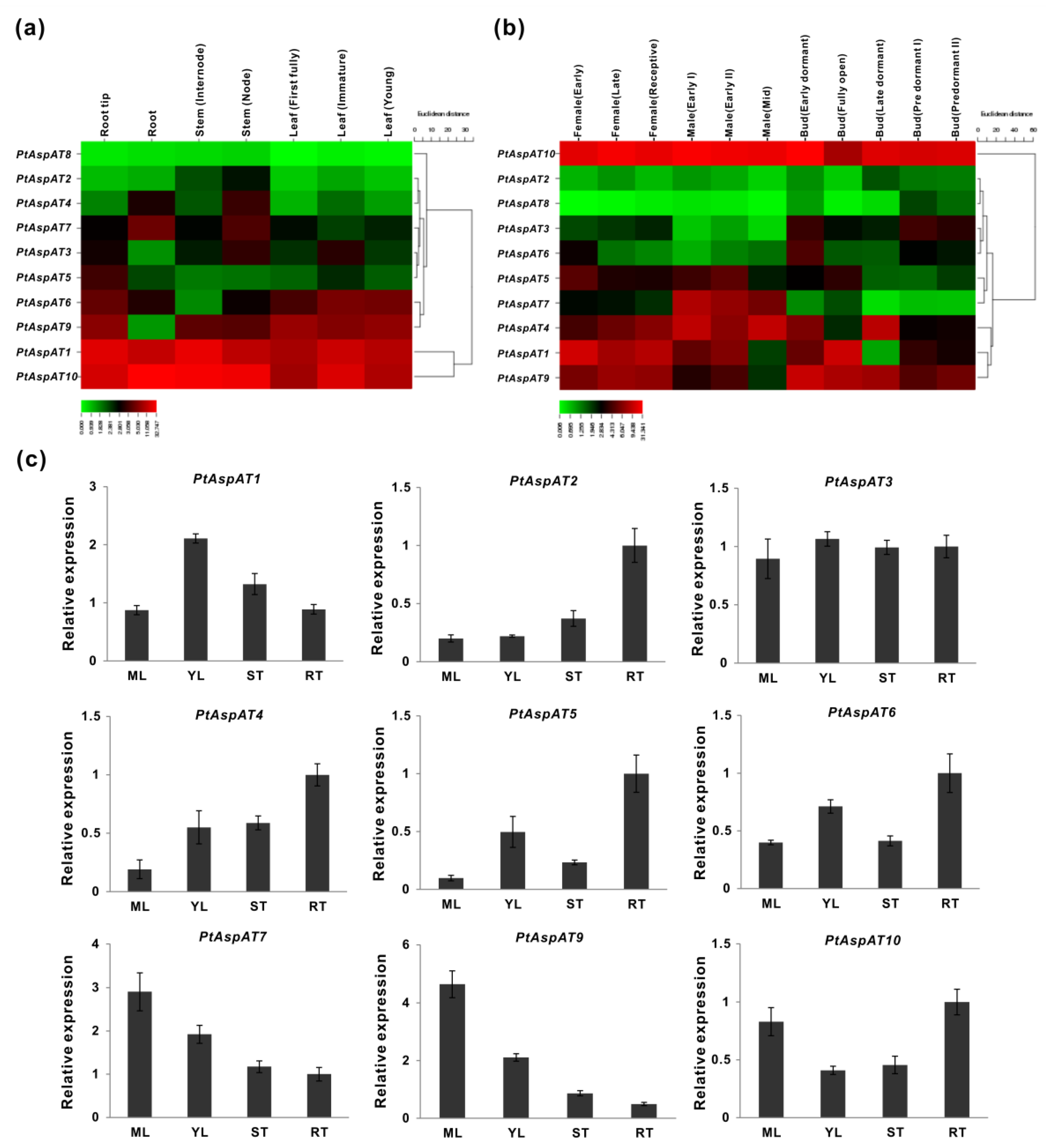 Forests 10 00449 g005