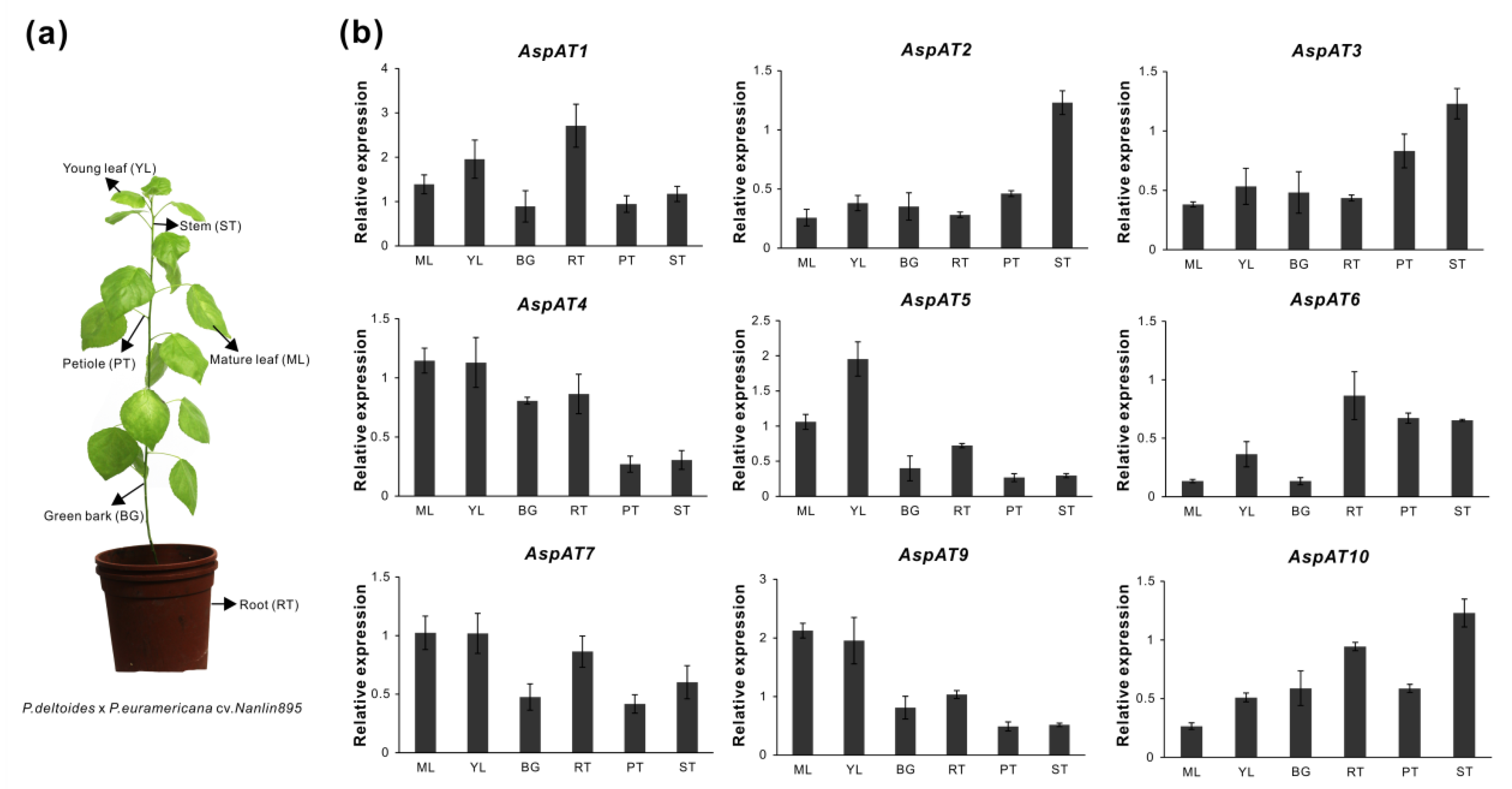 Forests 10 00449 g006