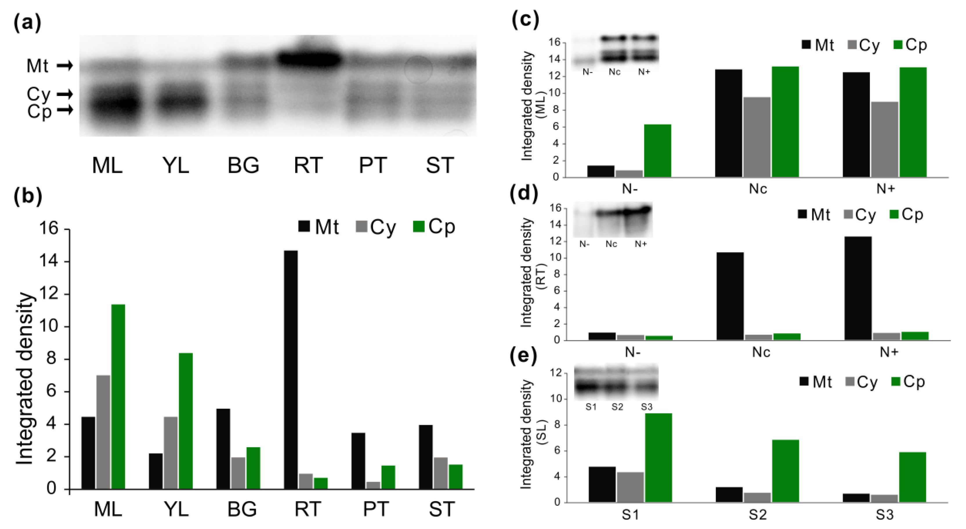 Forests 10 00449 g008
