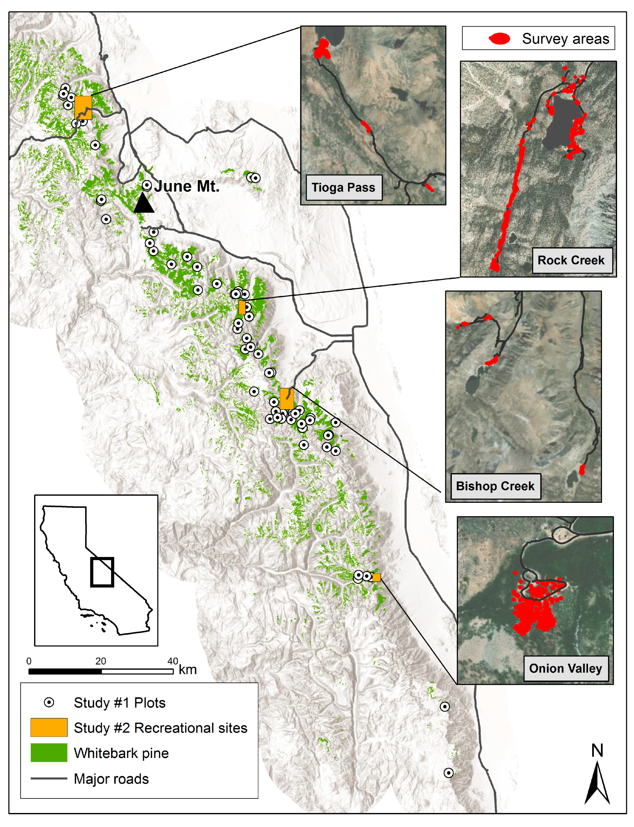 Forests 10 00455 g002