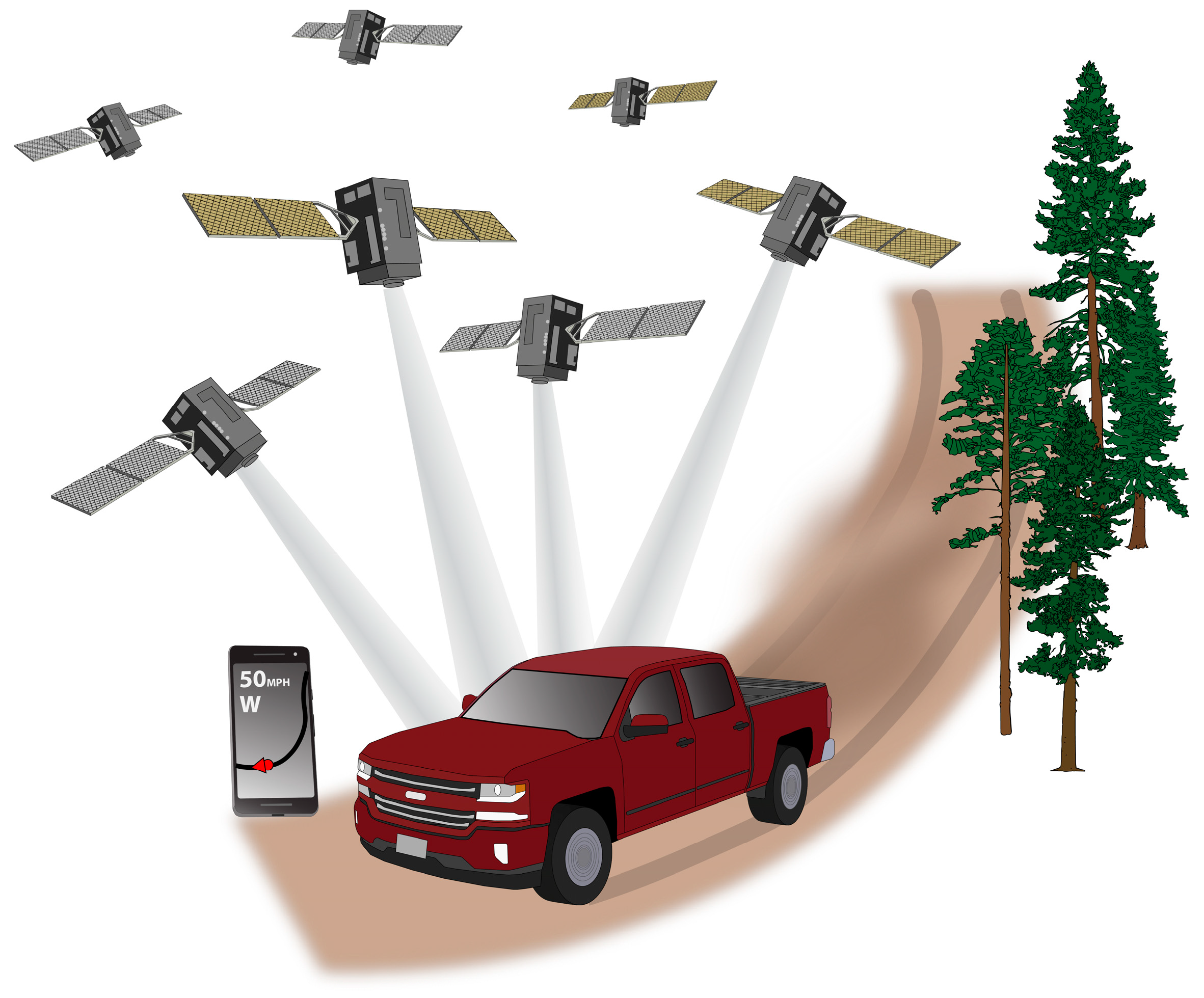 Forests 10 00458 g001