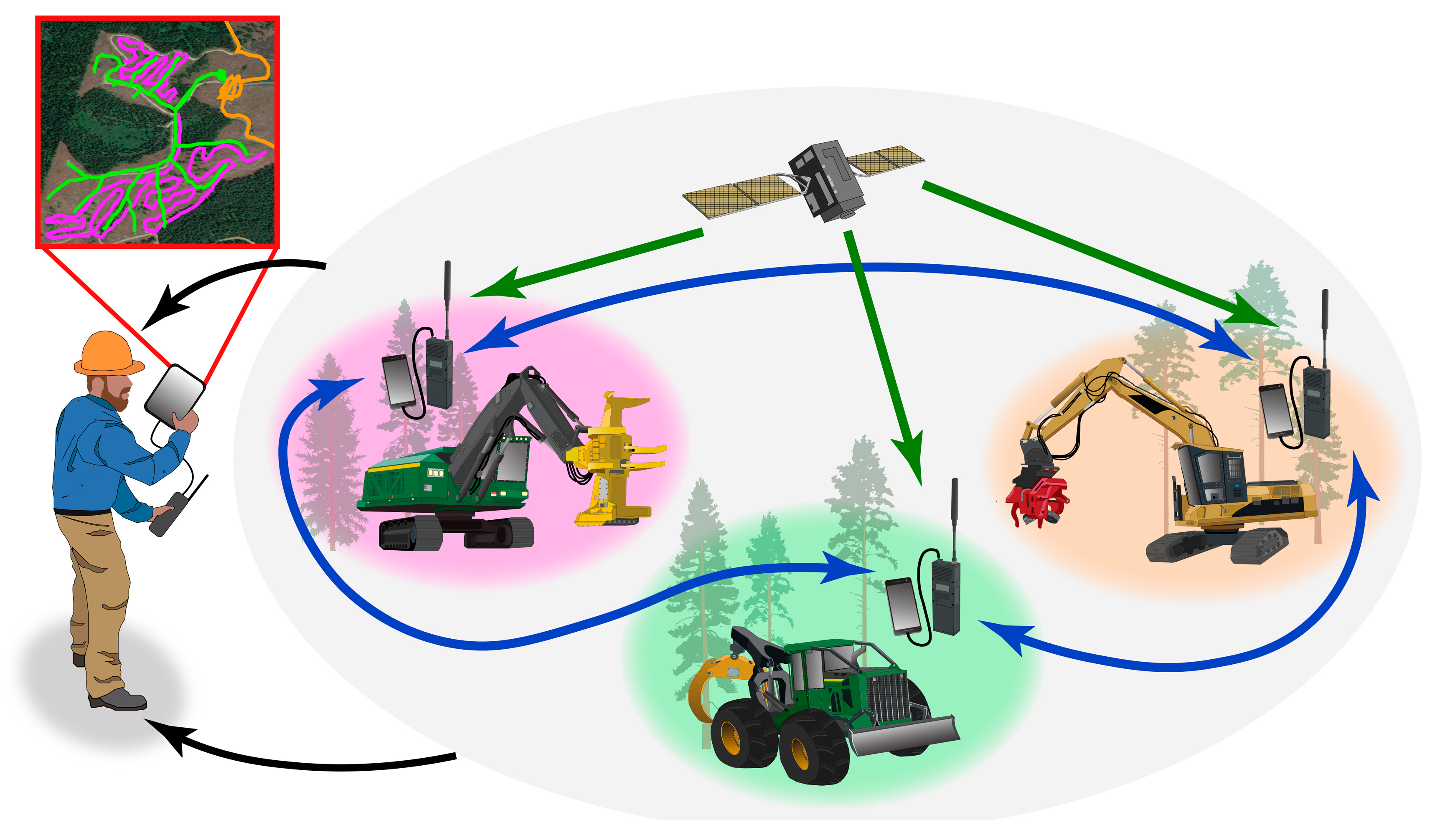 Forests 10 00458 g004