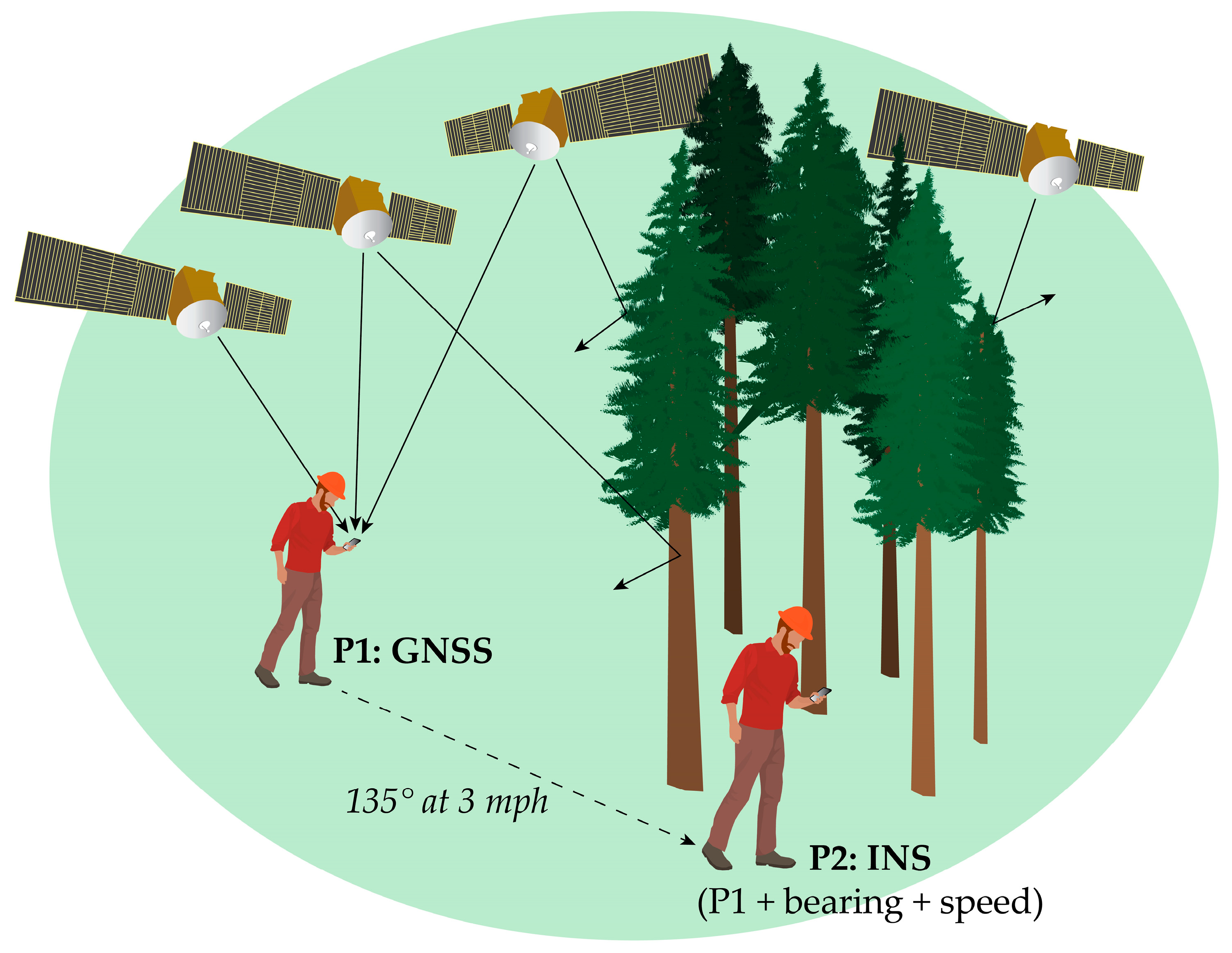 Forests 10 00458 g006