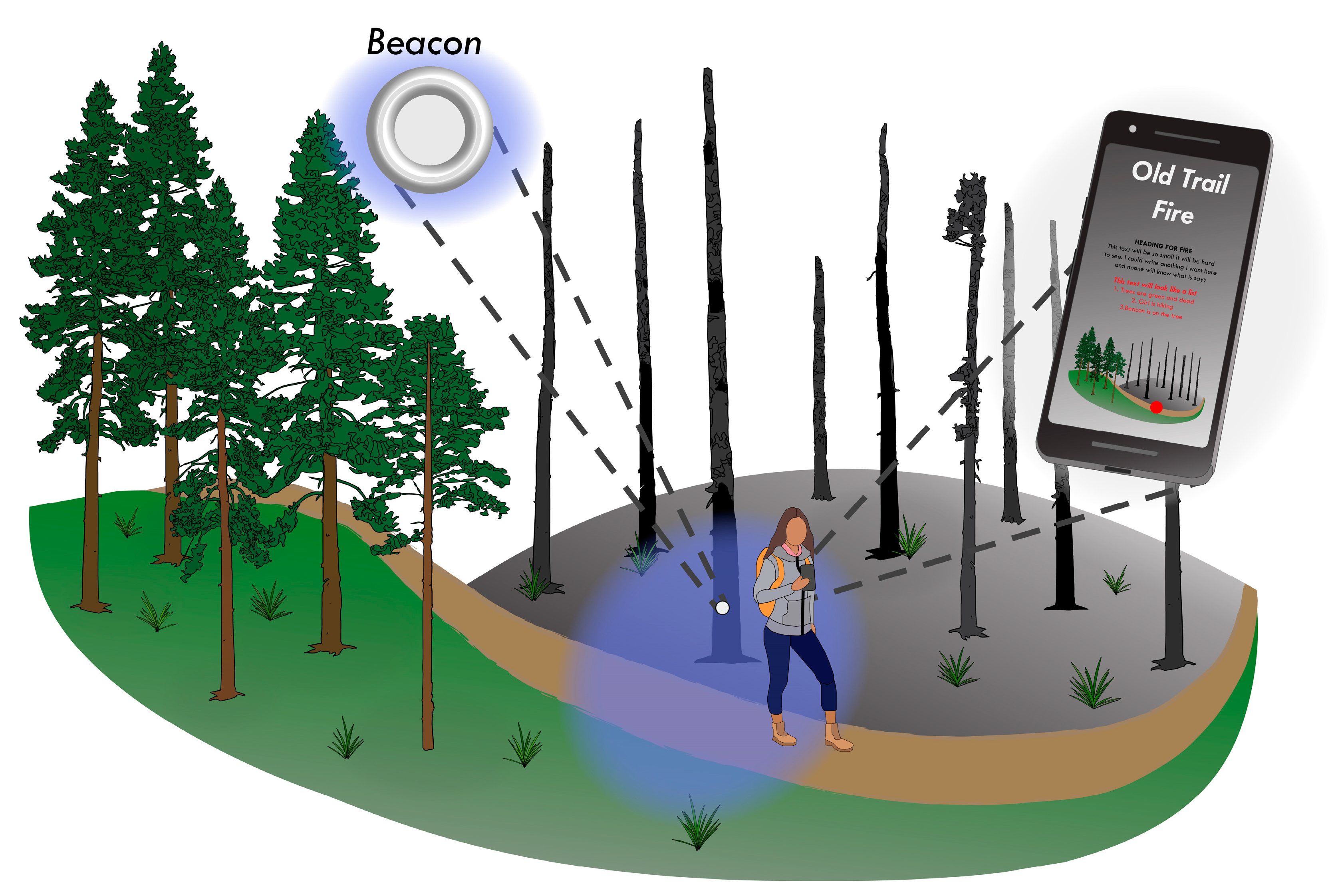 Forests 10 00458 g011