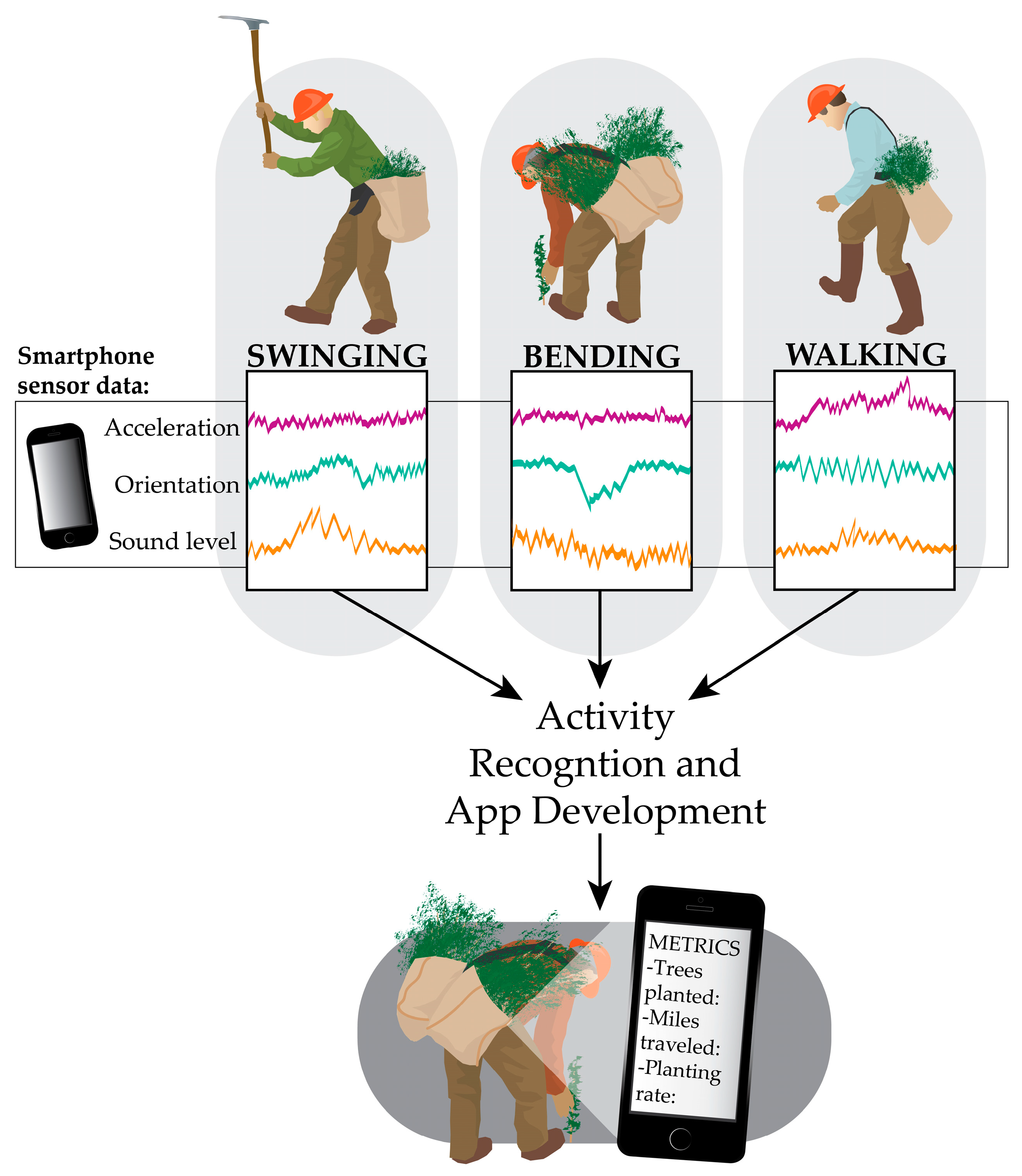 Forests 10 00458 g013