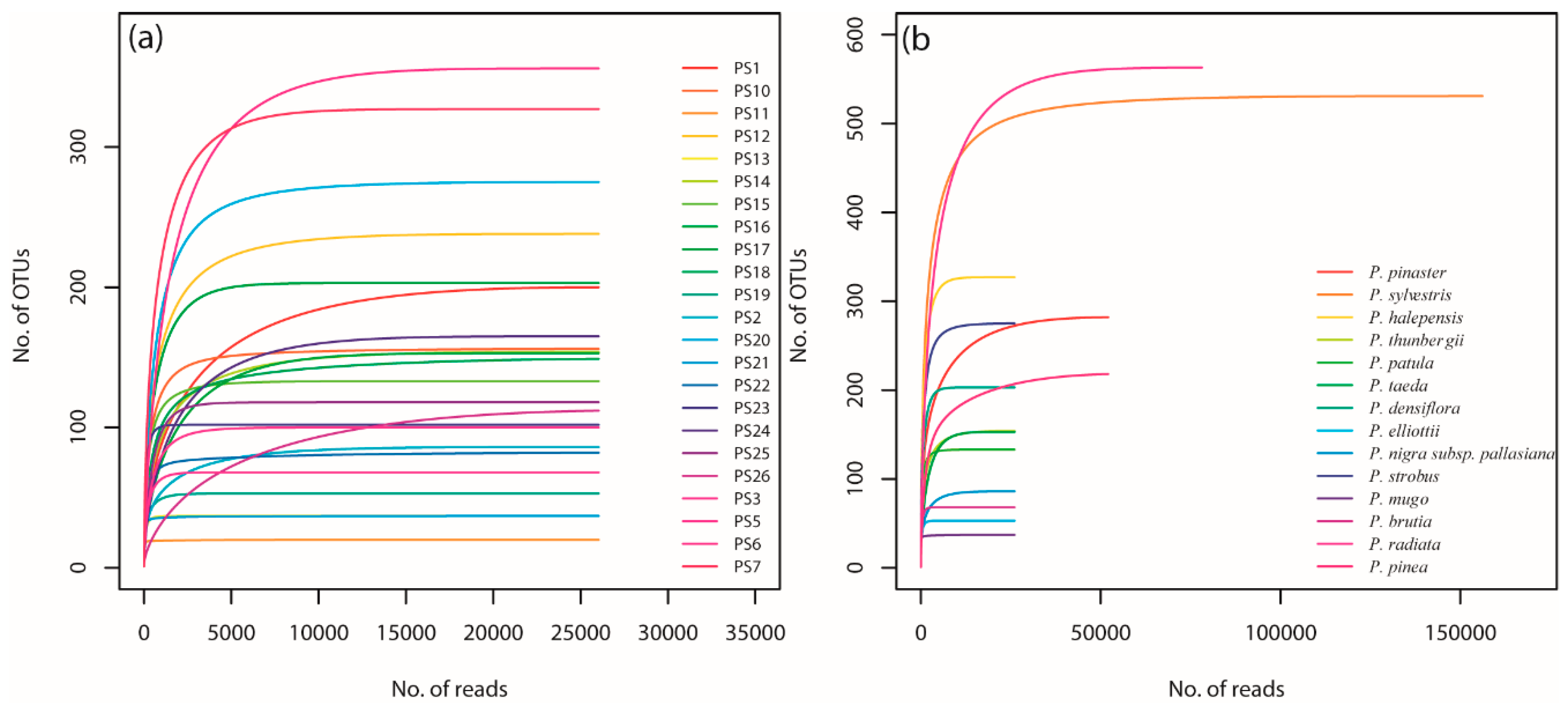 Forests 10 00459 g001