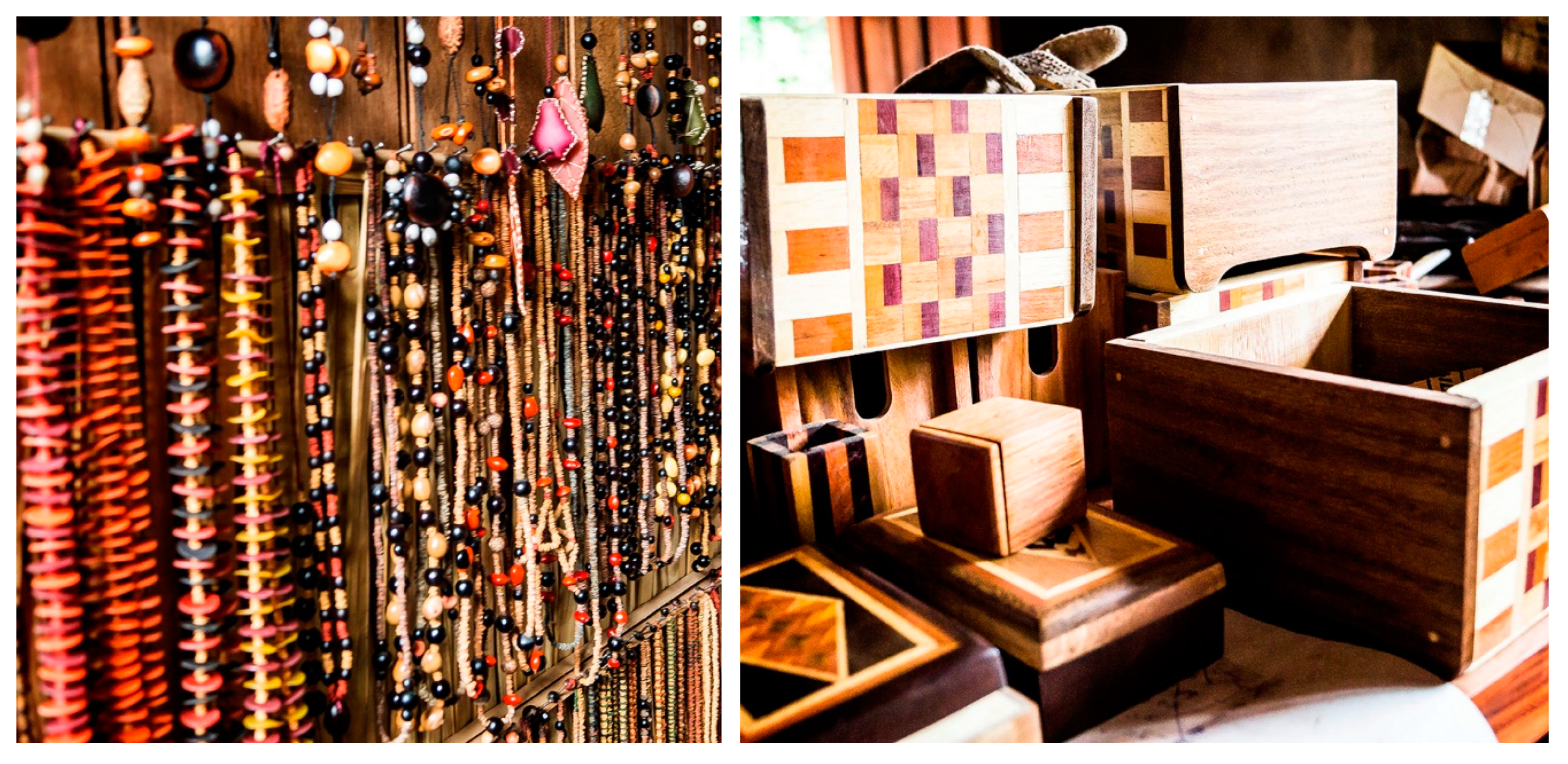 Forests 10 00461 g003a