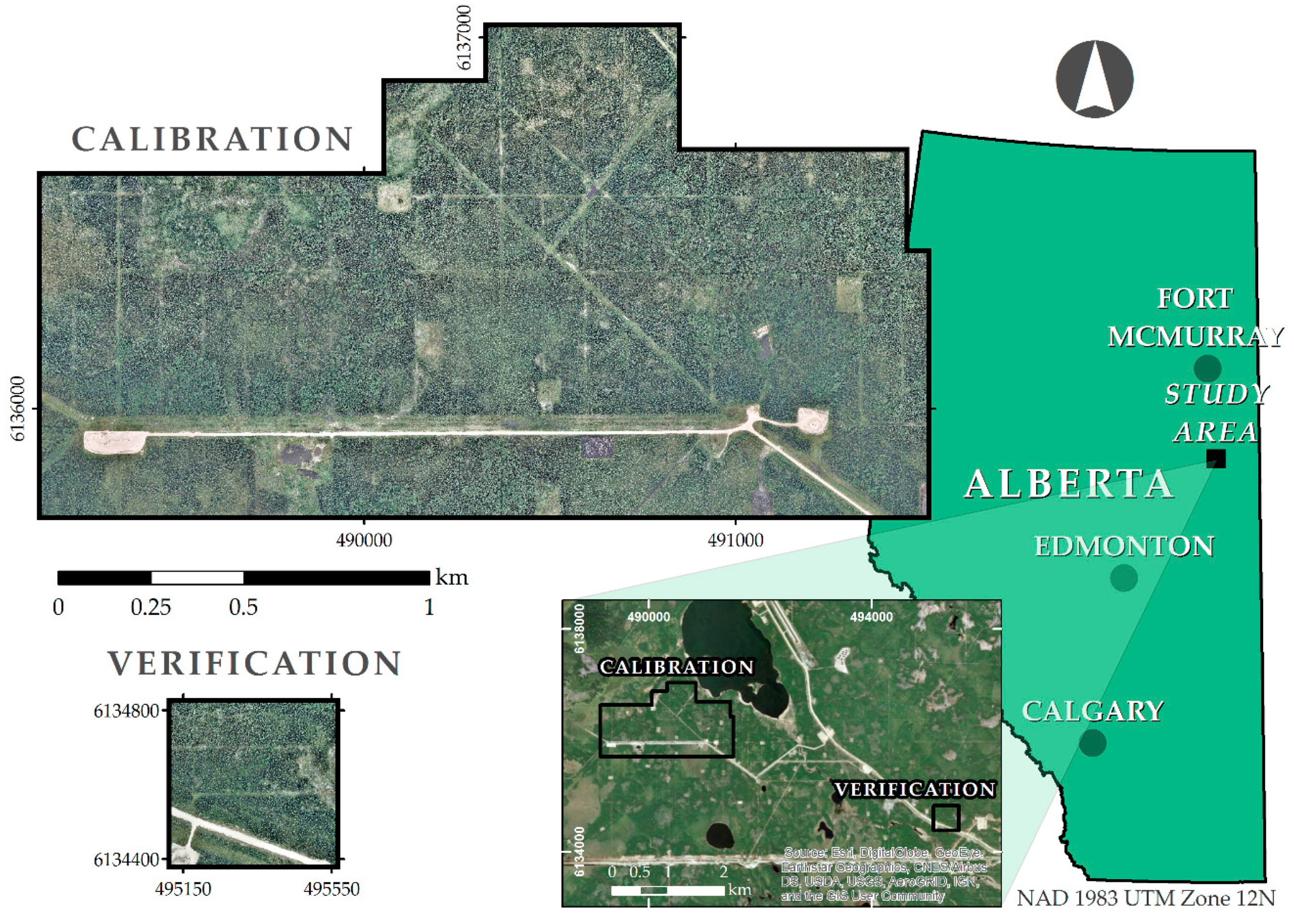 Forests 10 00471 g002 Forests 10 00471 g002