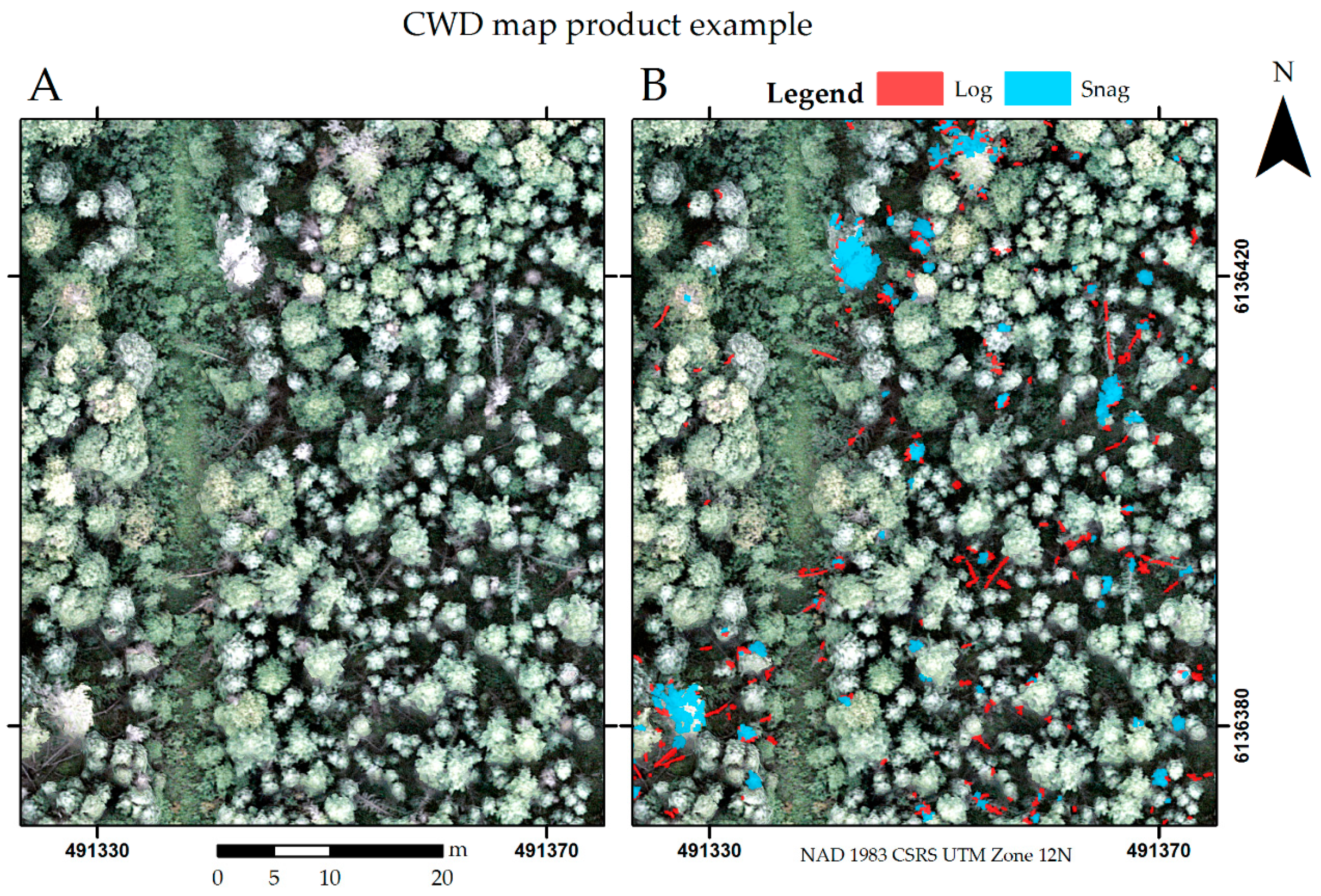 Forests 10 00471 g008 Forests 10 00471 g008
