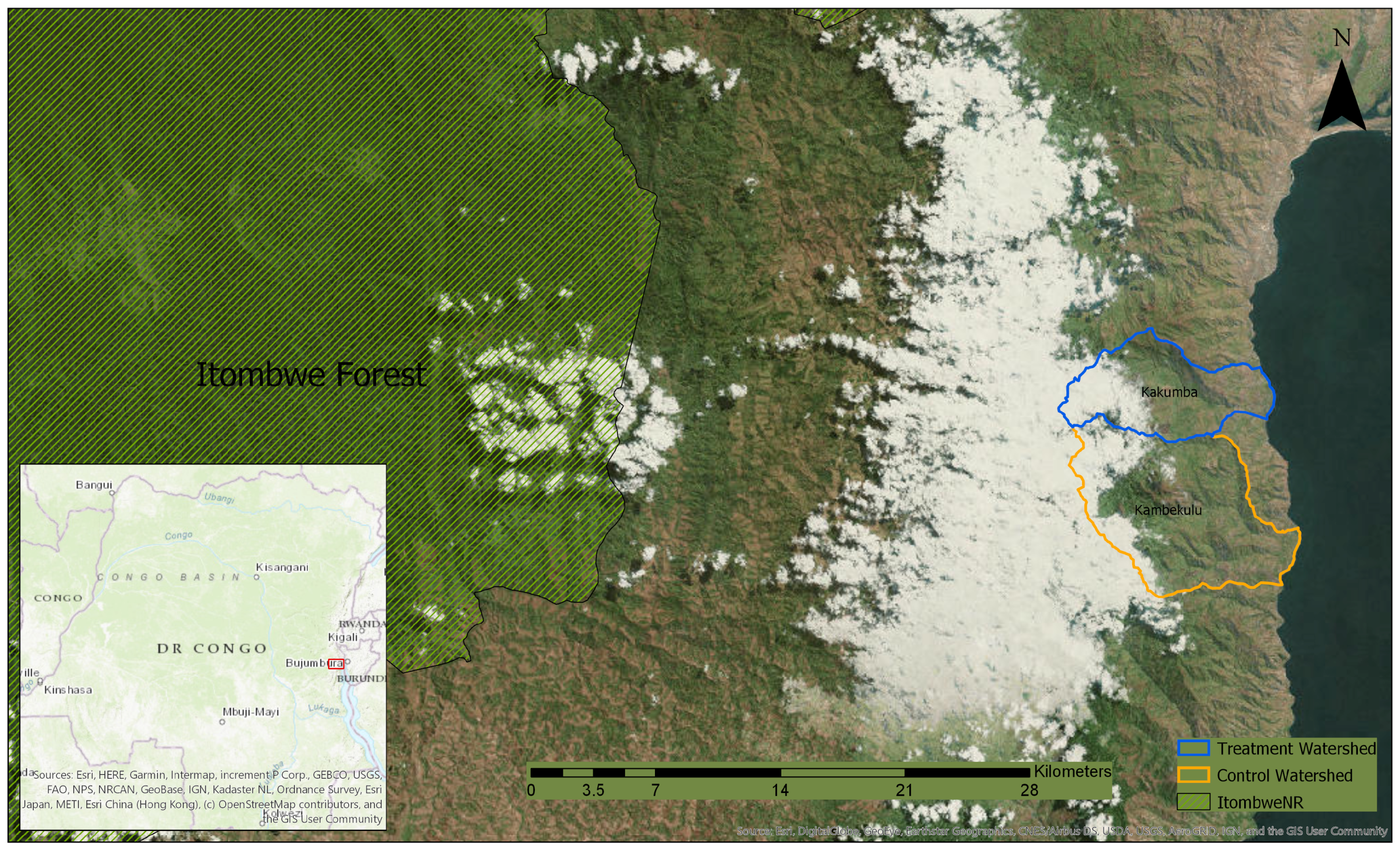 Forests 10 00475 g001