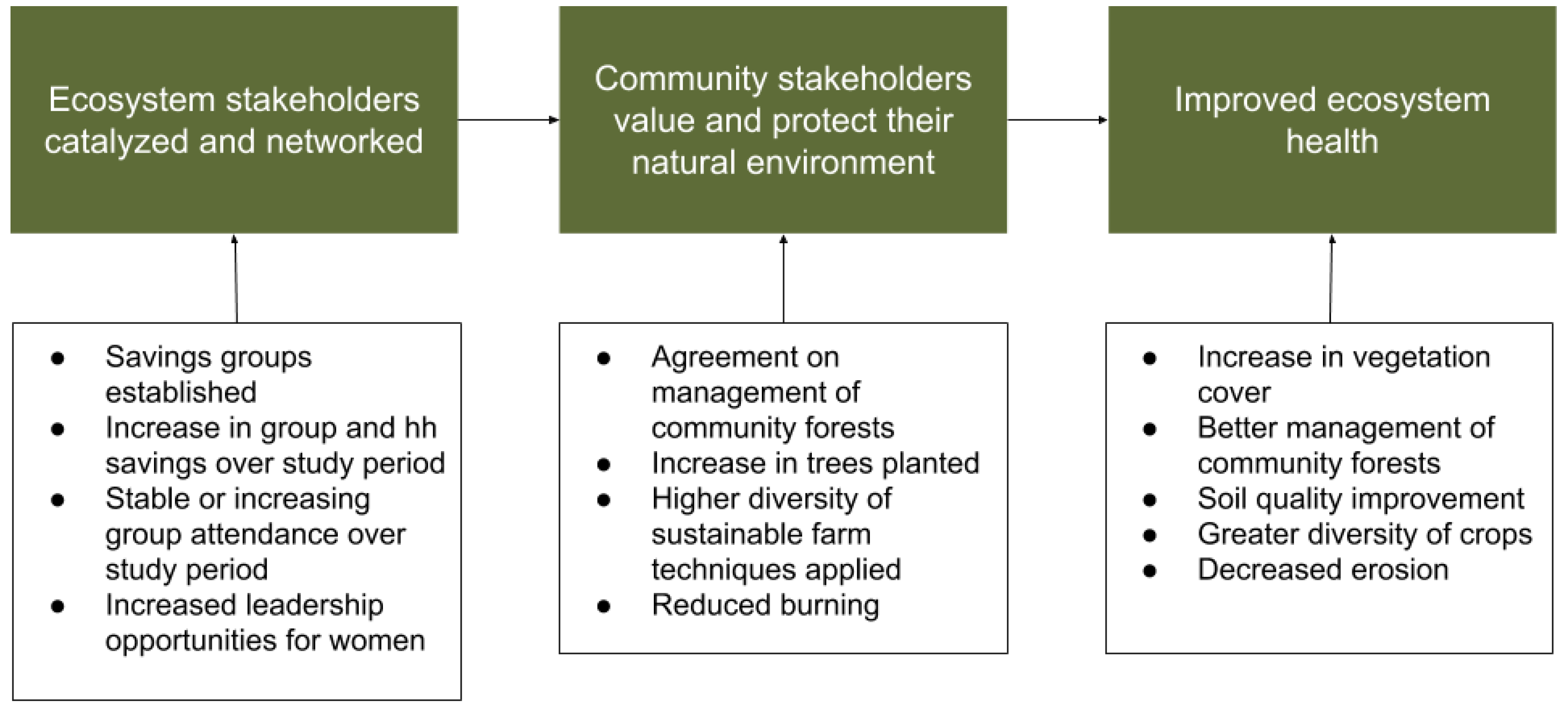 Forests 10 00475 g008