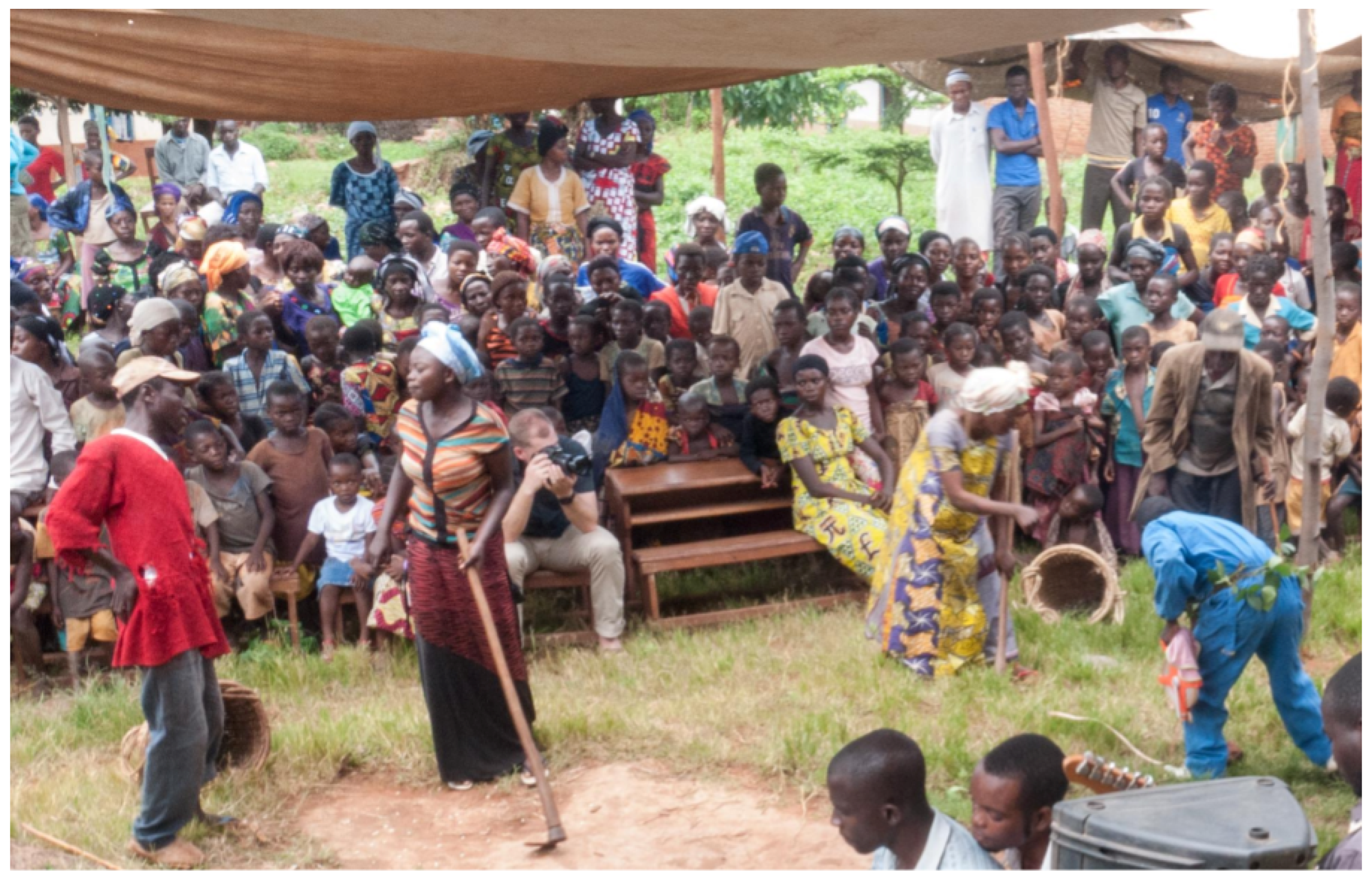 Forests 10 00475 g009