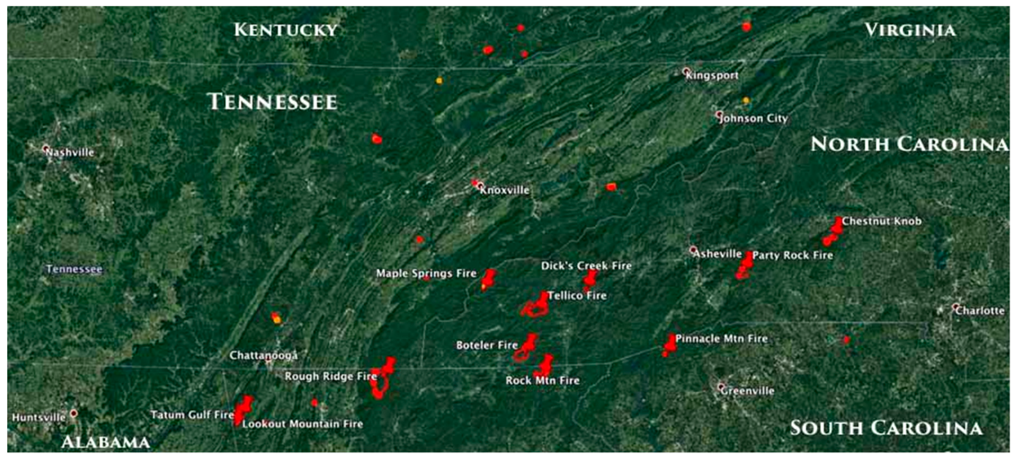 Forests 10 00493 g001