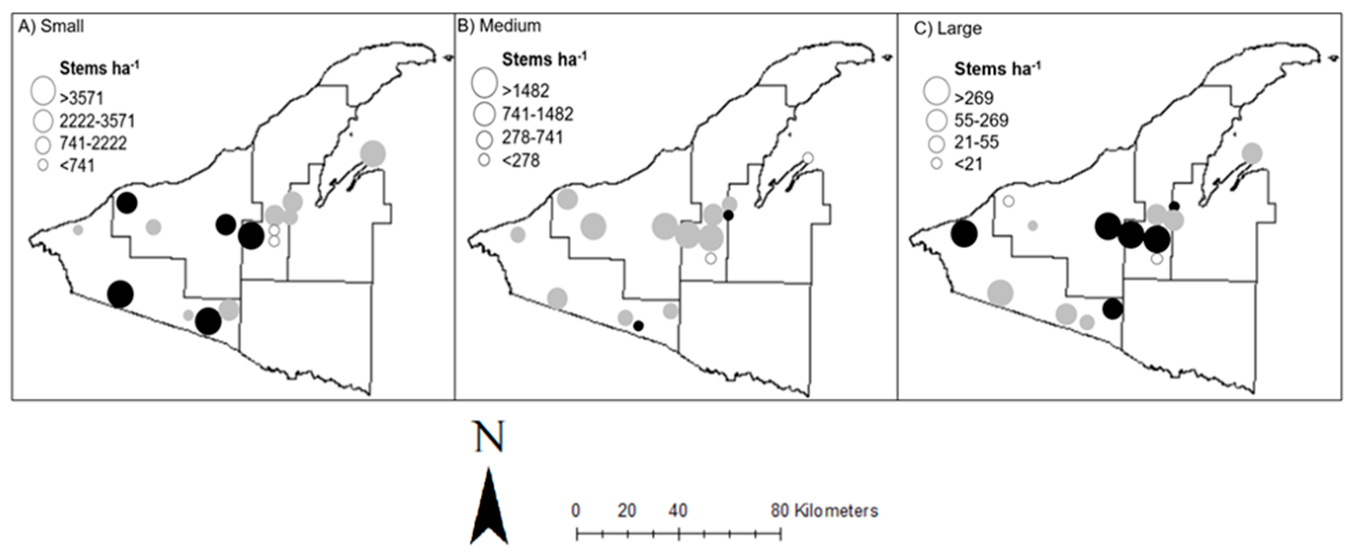 Forests 10 00496 g006