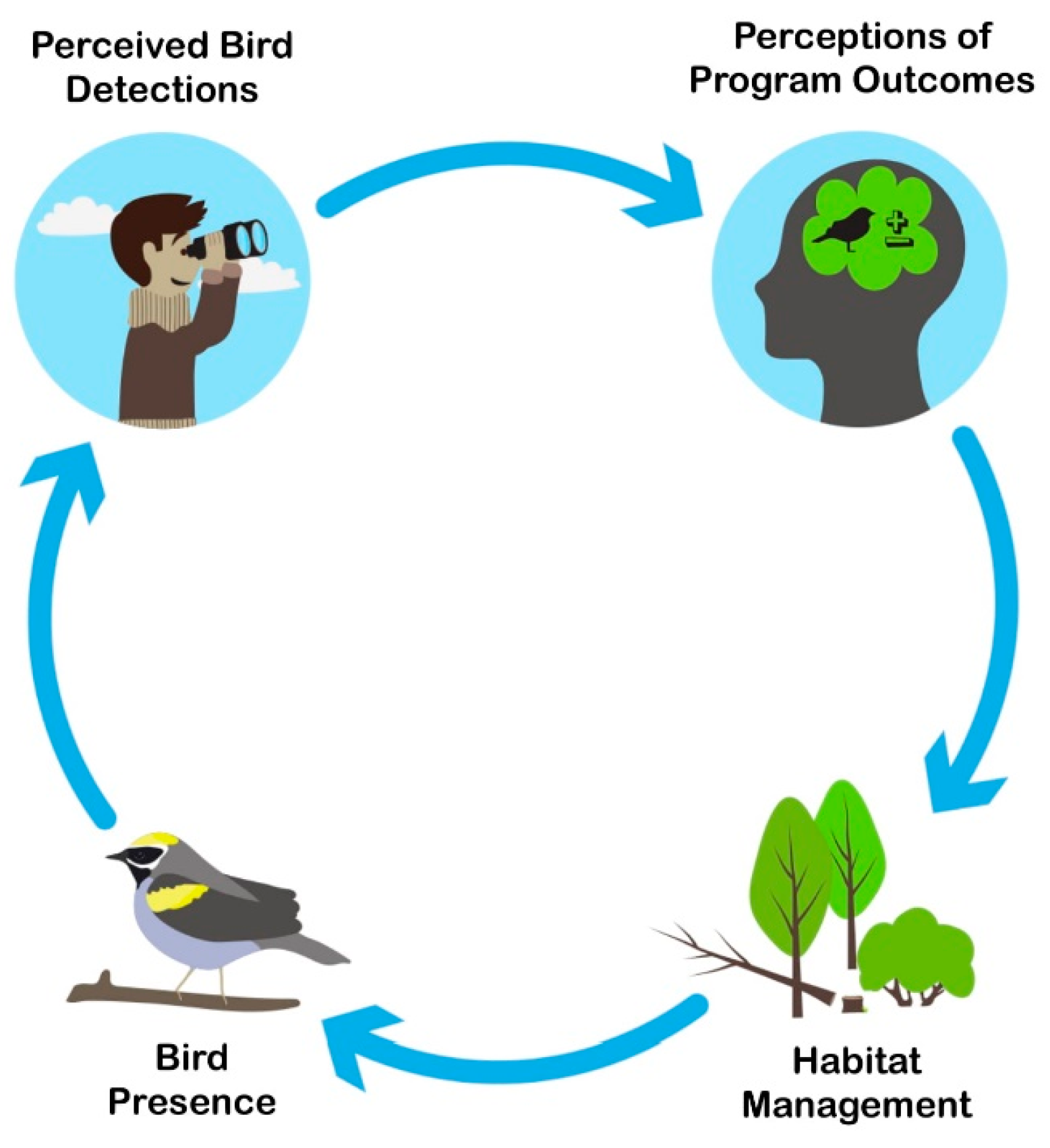 Forests 10 00499 g001 Forests 10 00499 g001