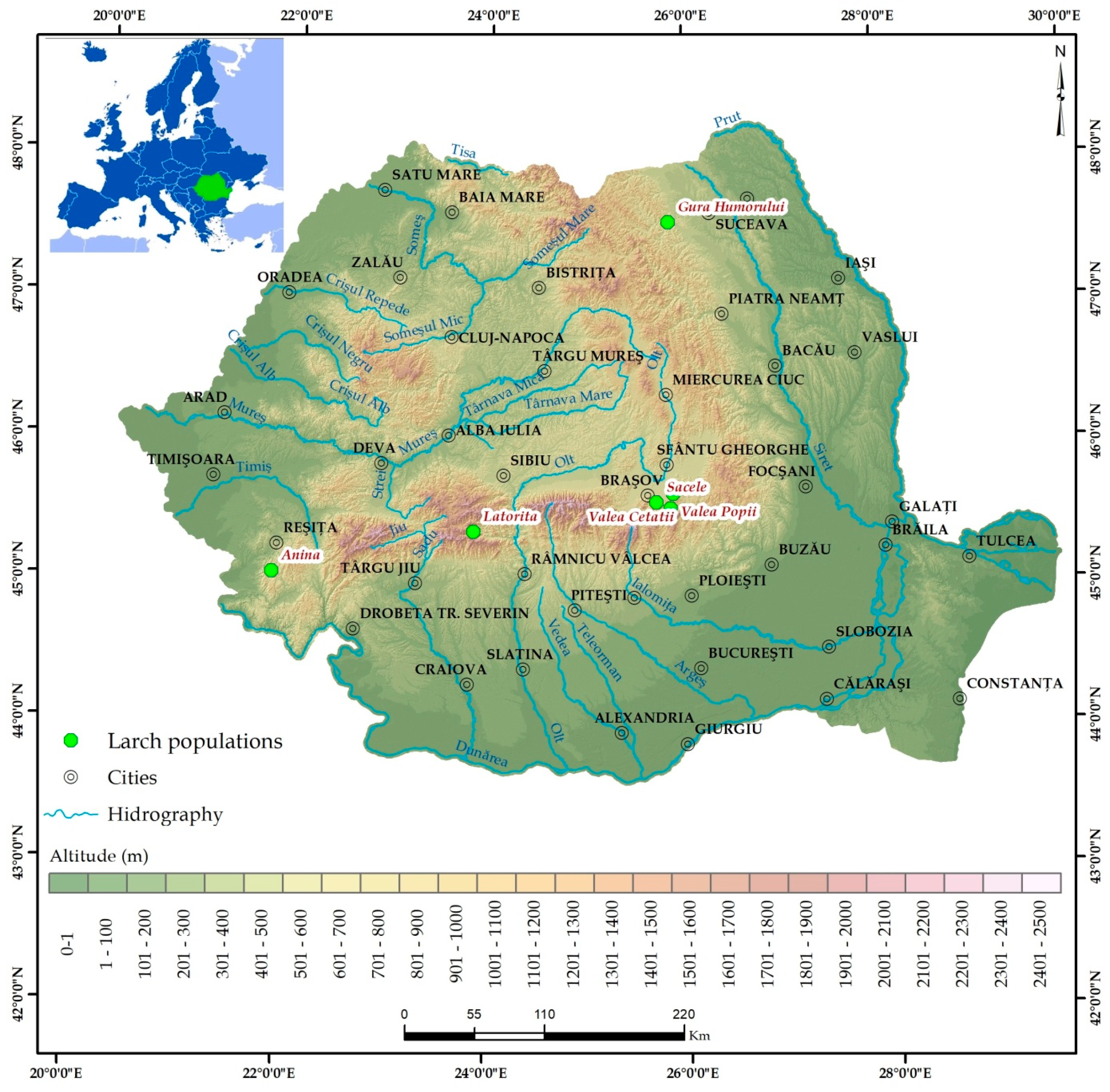 Forests 10 00511 g001