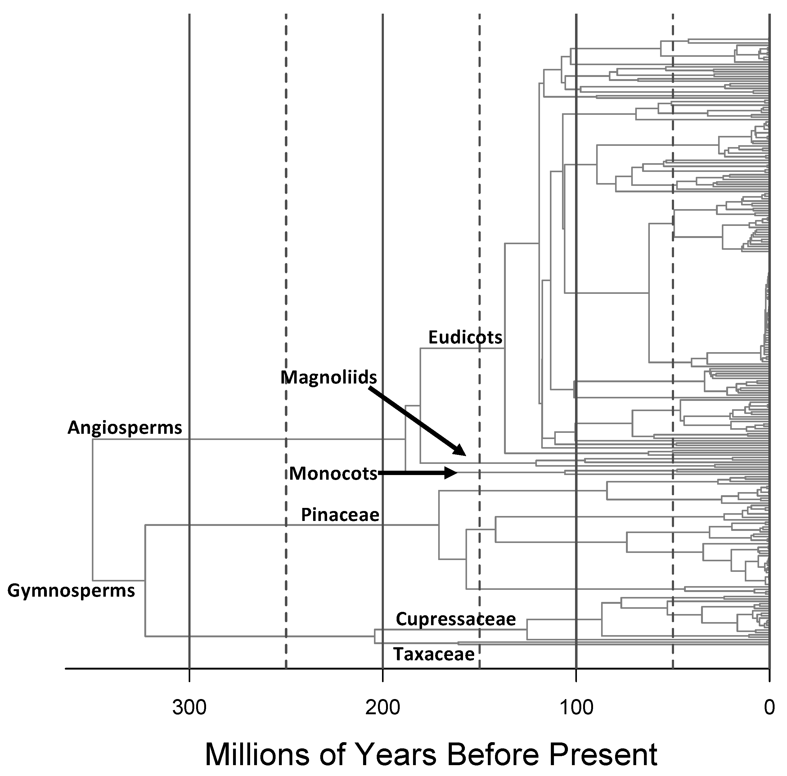 Forests 10 00520 g002