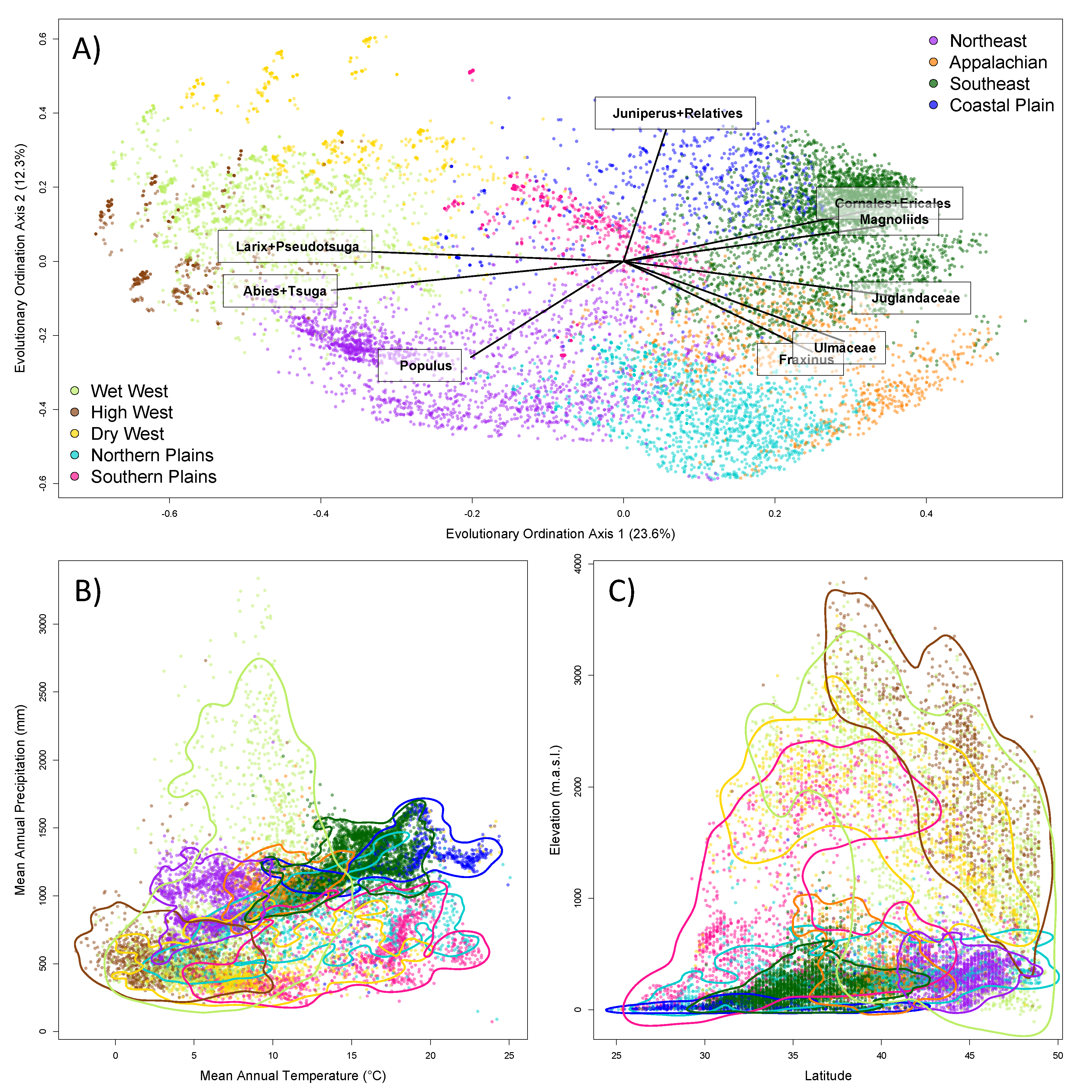Forests 10 00520 g004
